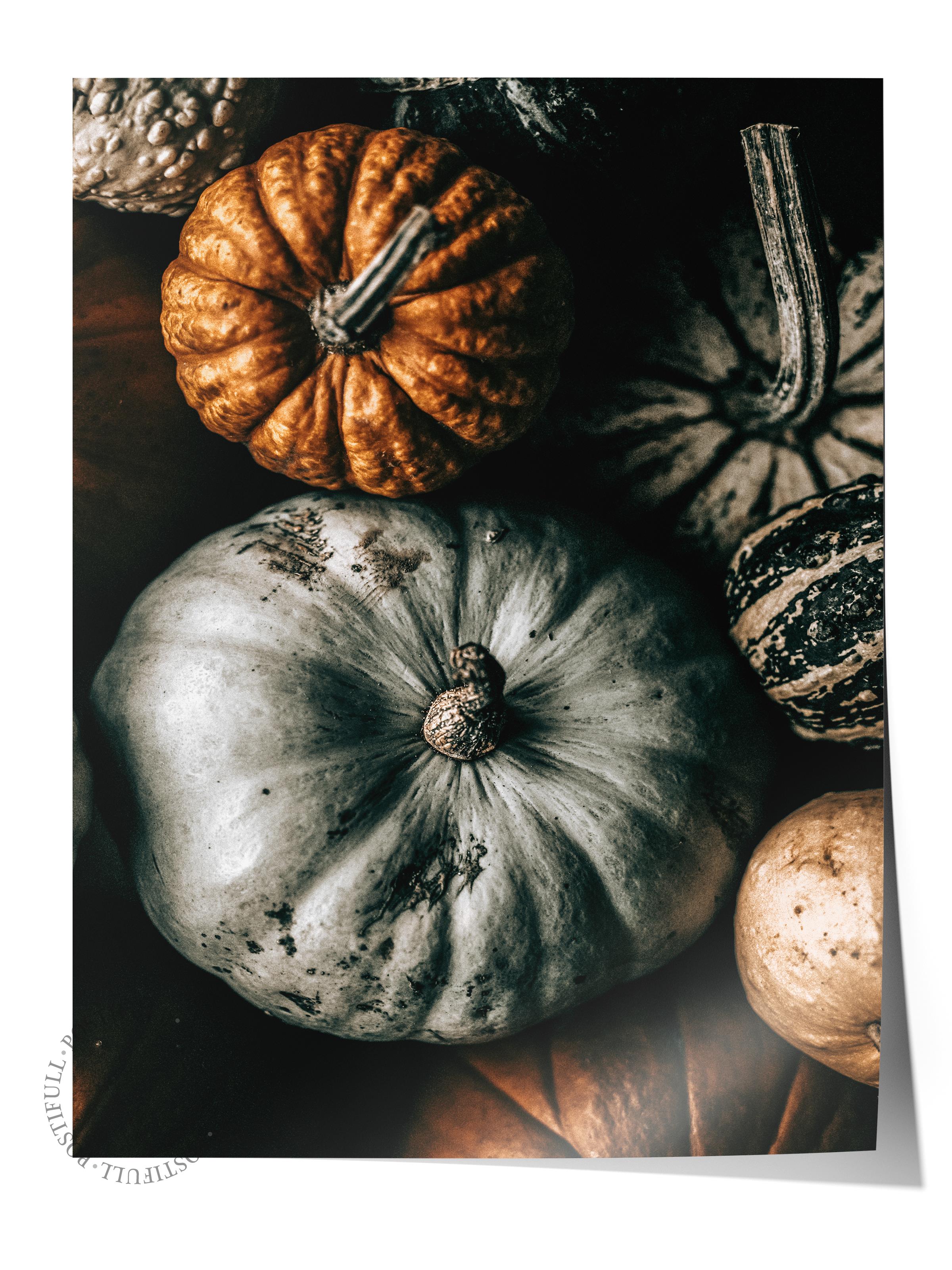 Rustic Çerçevesiz Poster, İskandinav Kahverengi Poster, NO:472 Kabaklar Fotoğraf
