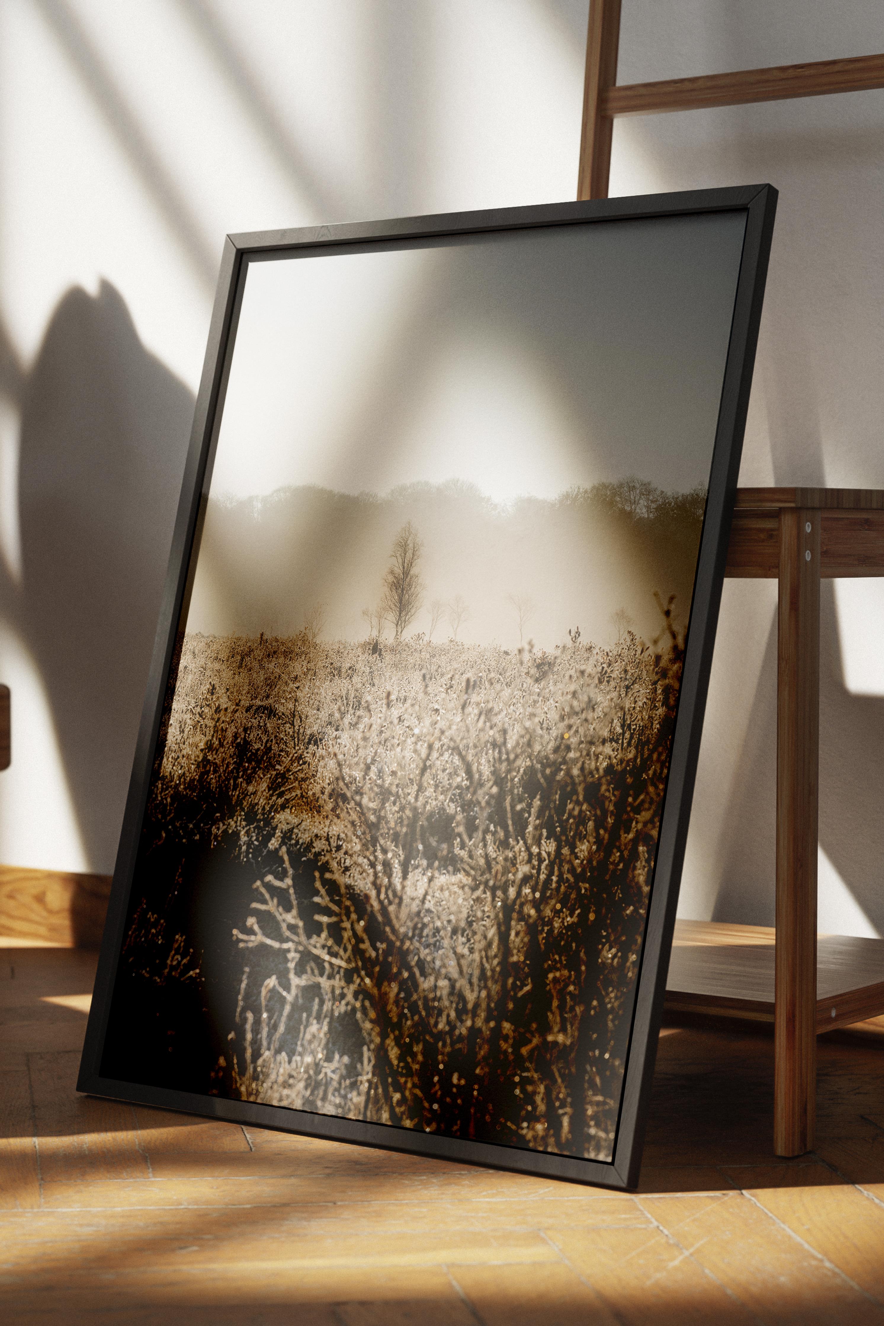 Rustic Çerçevesiz Poster, İskandinav Kahverengi Poster, NO:473 Doğa Fotoğraf
