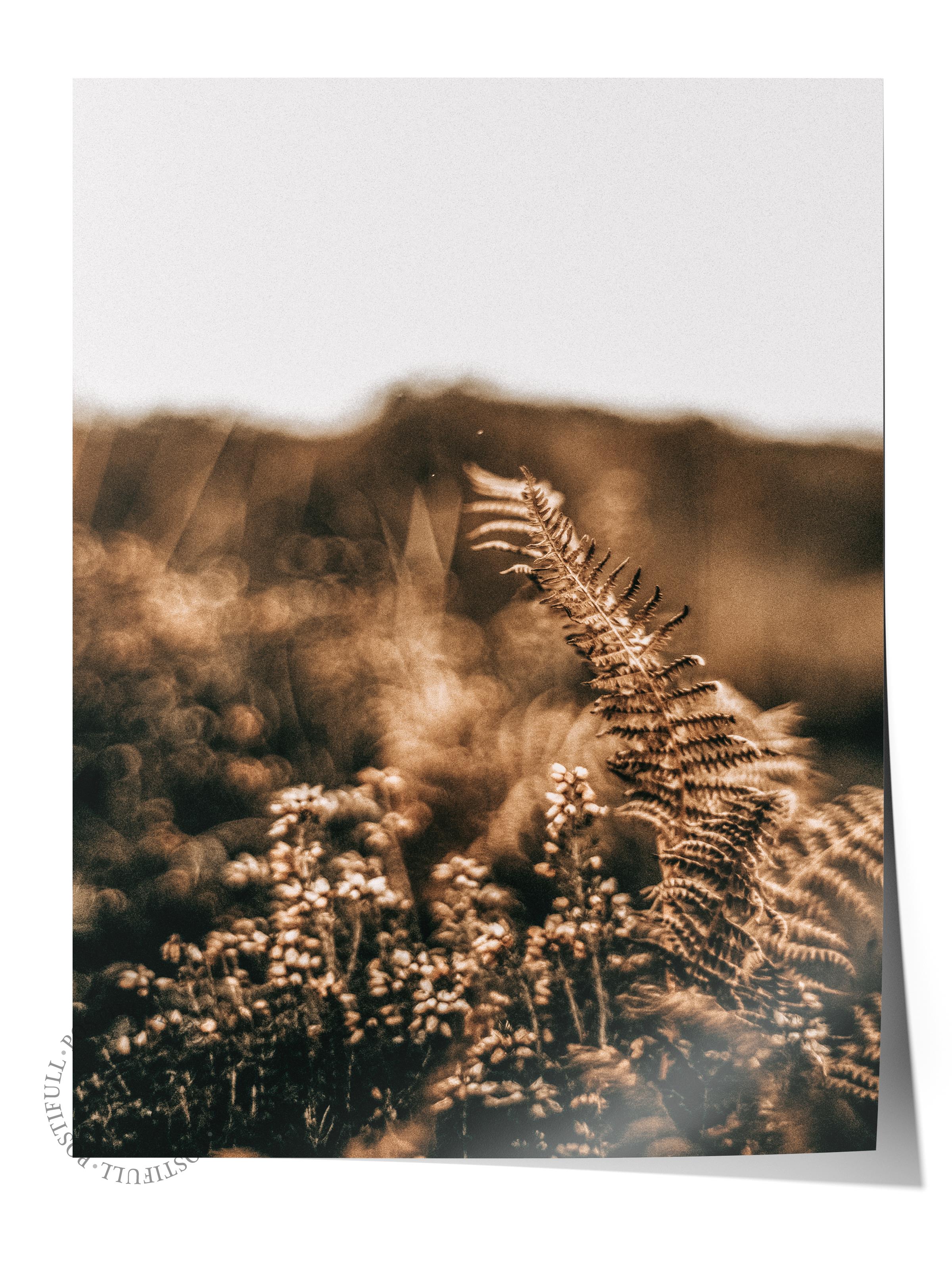 Rustic Çerçevesiz Poster, İskandinav Kahverengi Poster, NO:475 Çiçekler Fotoğraf