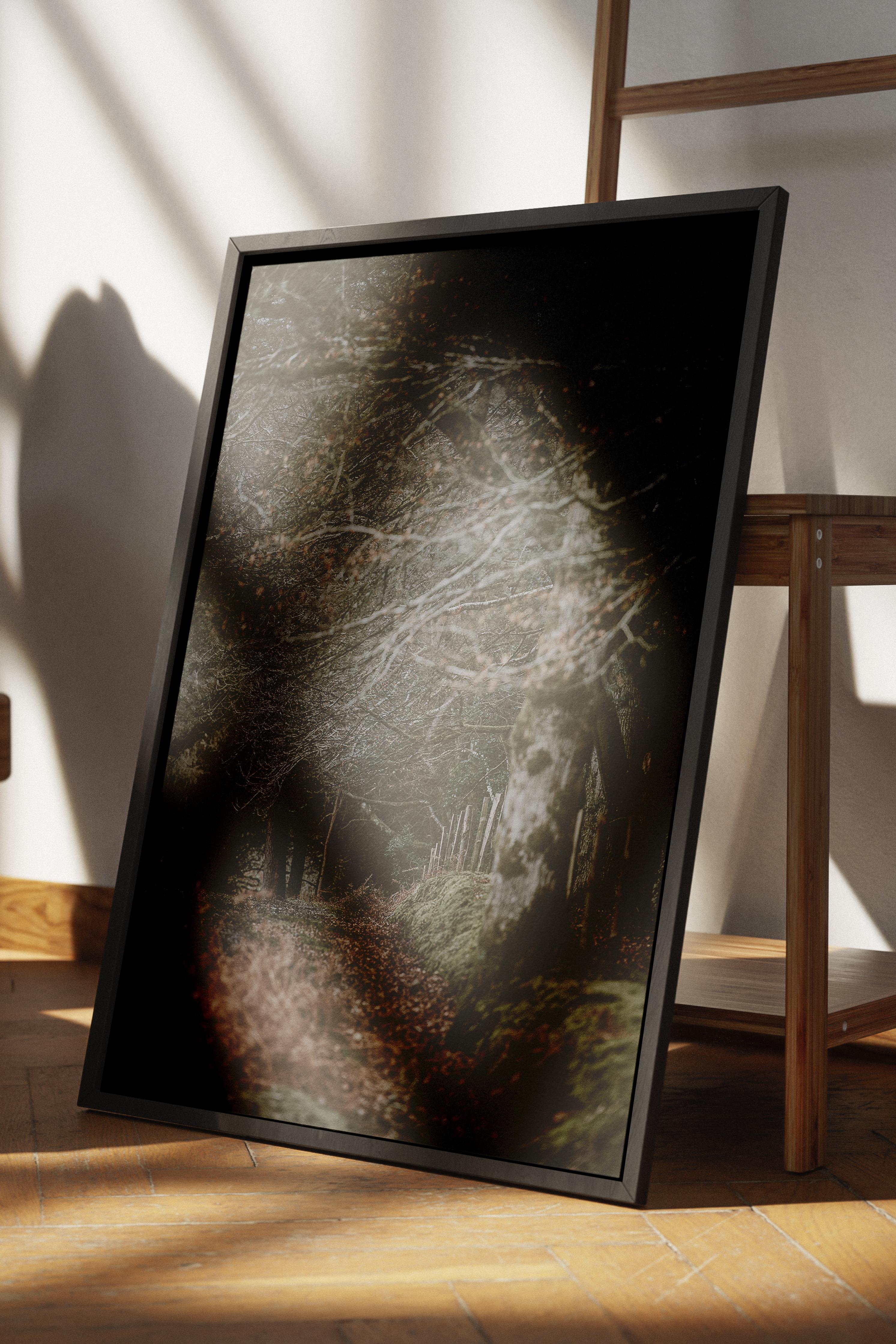 Rustic Çerçevesiz Poster, İskandinav Kahverengi Poster, NO:478 Yol Fotoğraf