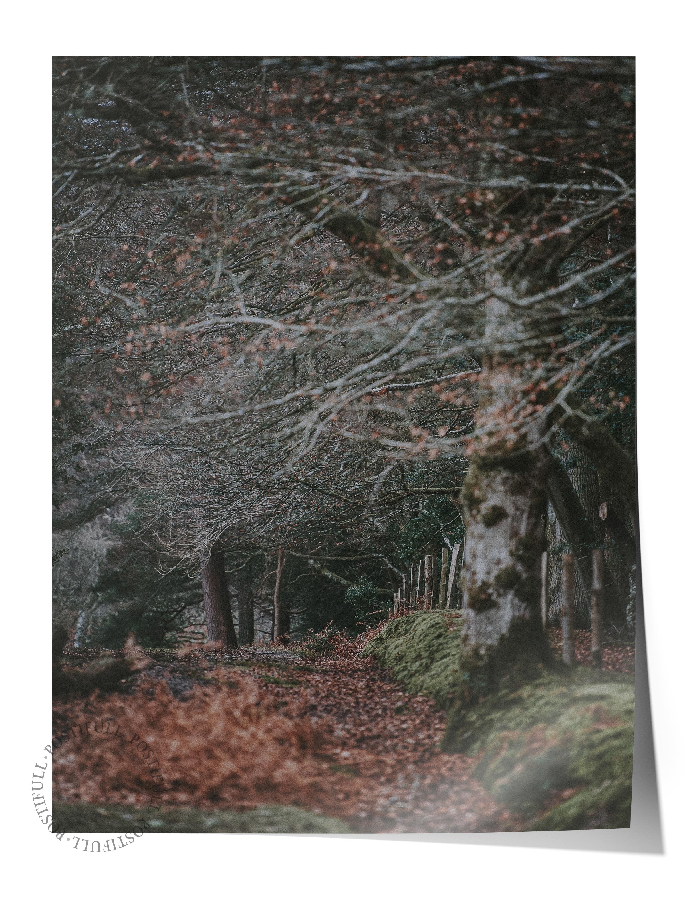 Rustic Çerçevesiz Poster, İskandinav Kahverengi Poster, NO:478 Yol Fotoğraf