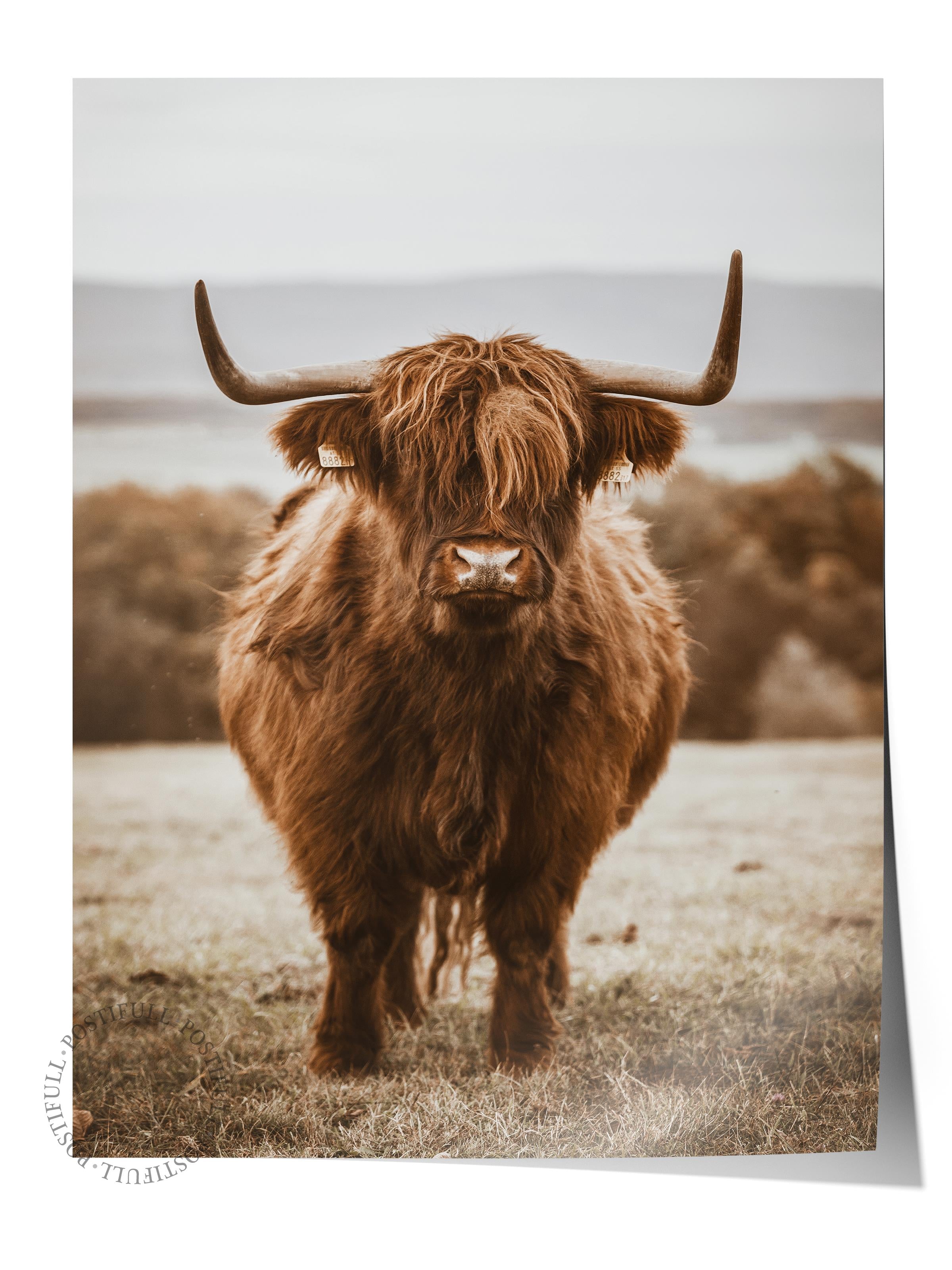 Rustic Çerçevesiz Poster, İskandinav Kahverengi Poster, NO:48 Kırmızı İnek Fotoğraf, Dikey