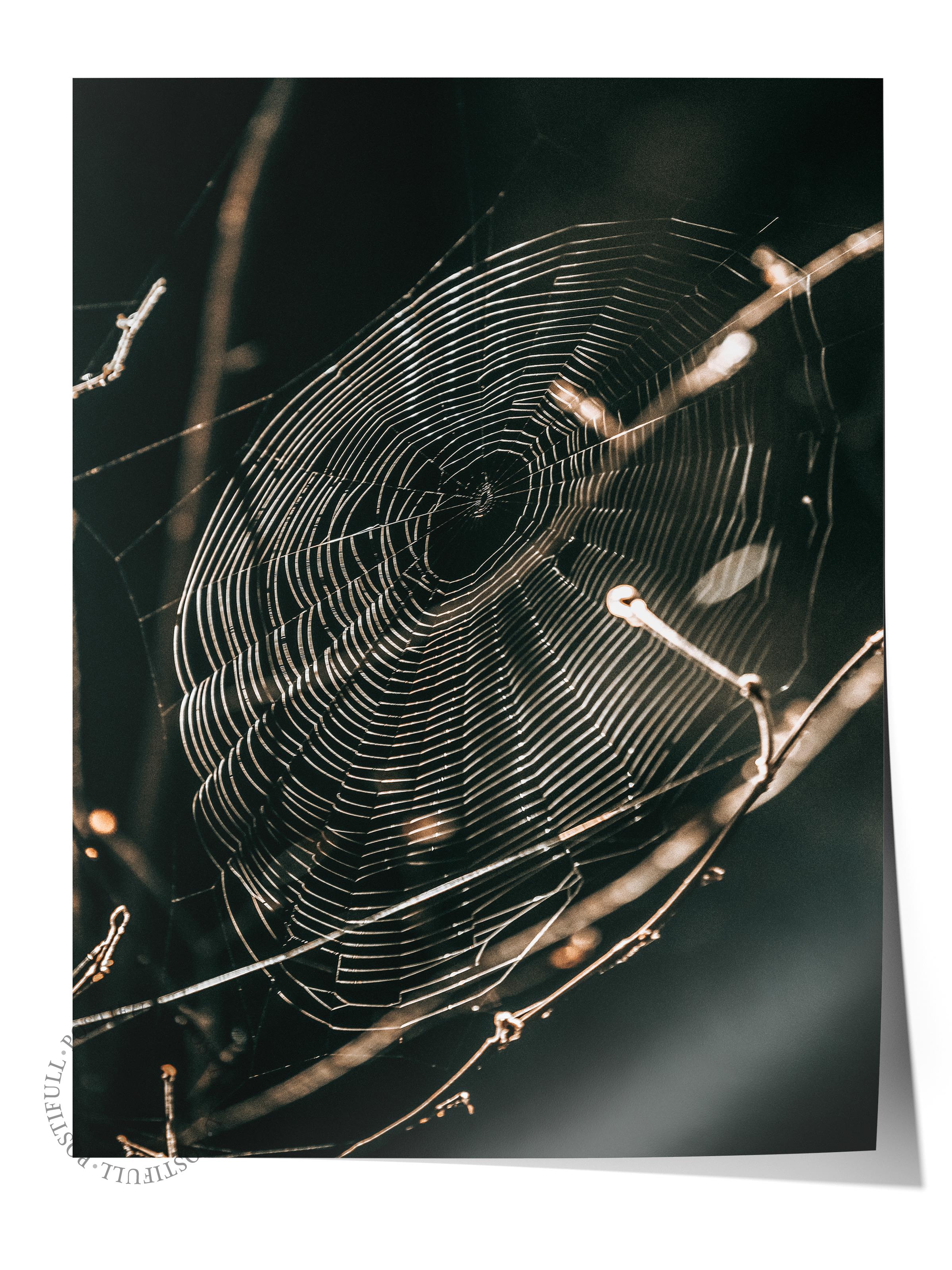 Rustic Çerçevesiz Poster, İskandinav Kahverengi Poster, NO:482 Ağ Fotoğraf