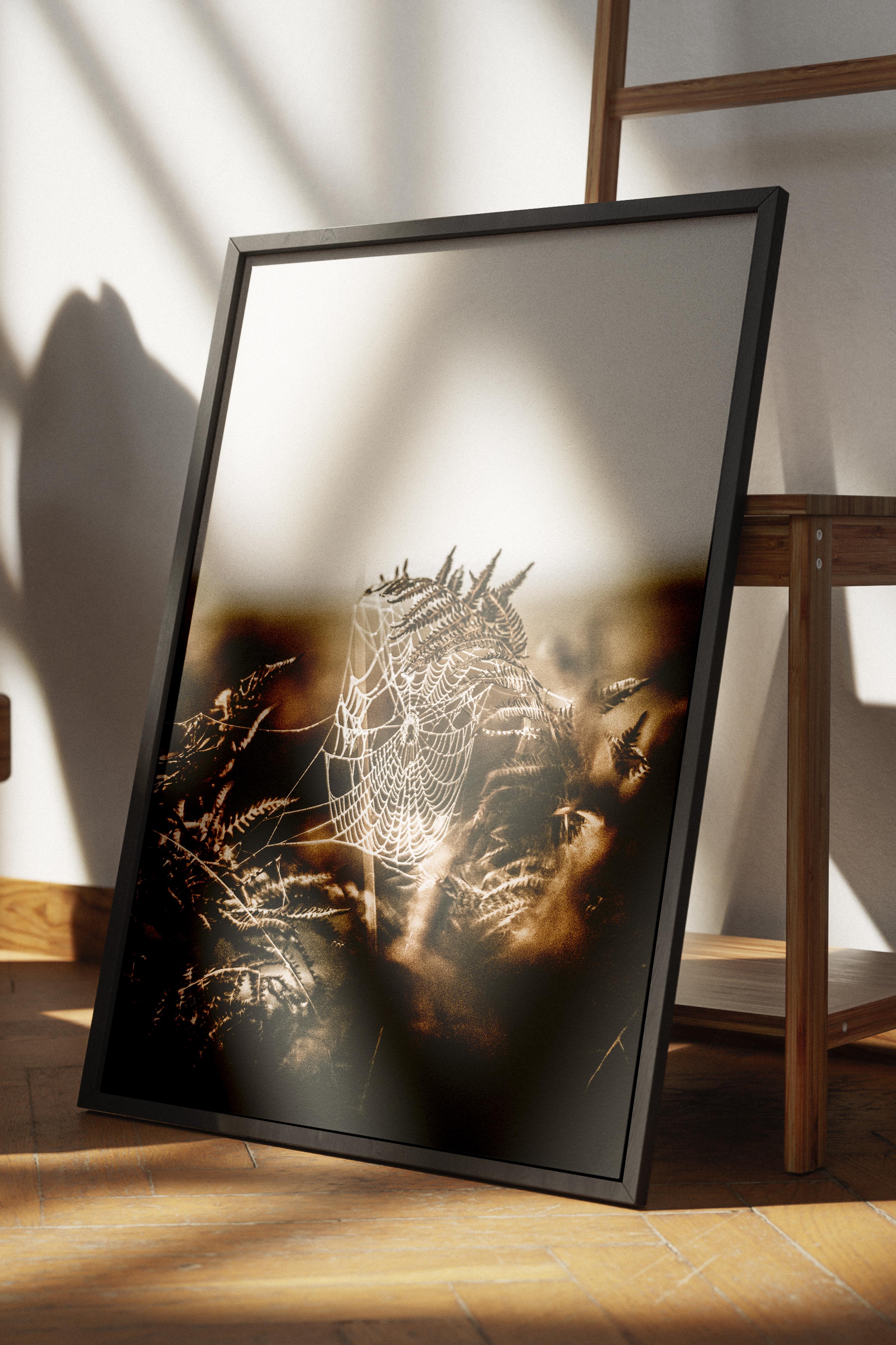 Rustic Çerçevesiz Poster, İskandinav Kahverengi Poster, NO:483 Doğa Fotoğraf