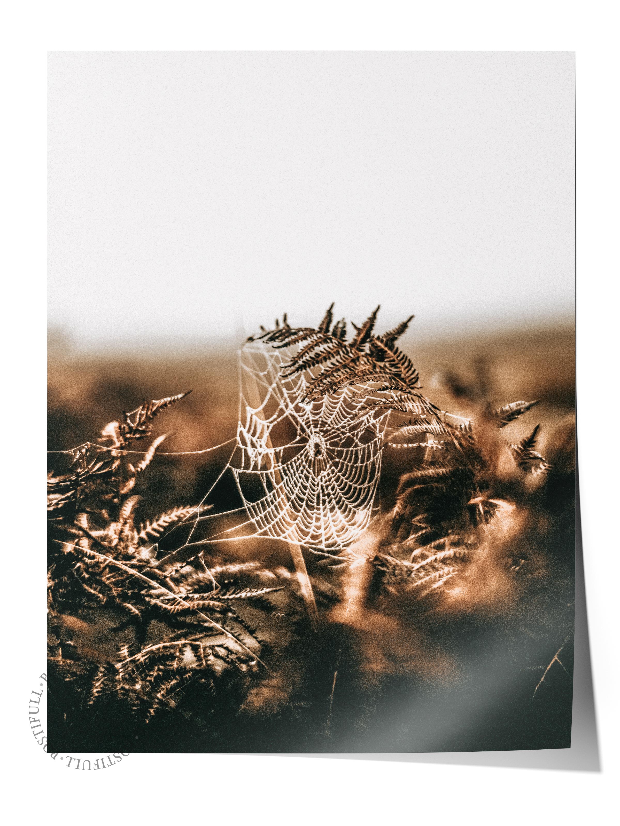 Rustic Çerçevesiz Poster, İskandinav Kahverengi Poster, NO:483 Doğa Fotoğraf