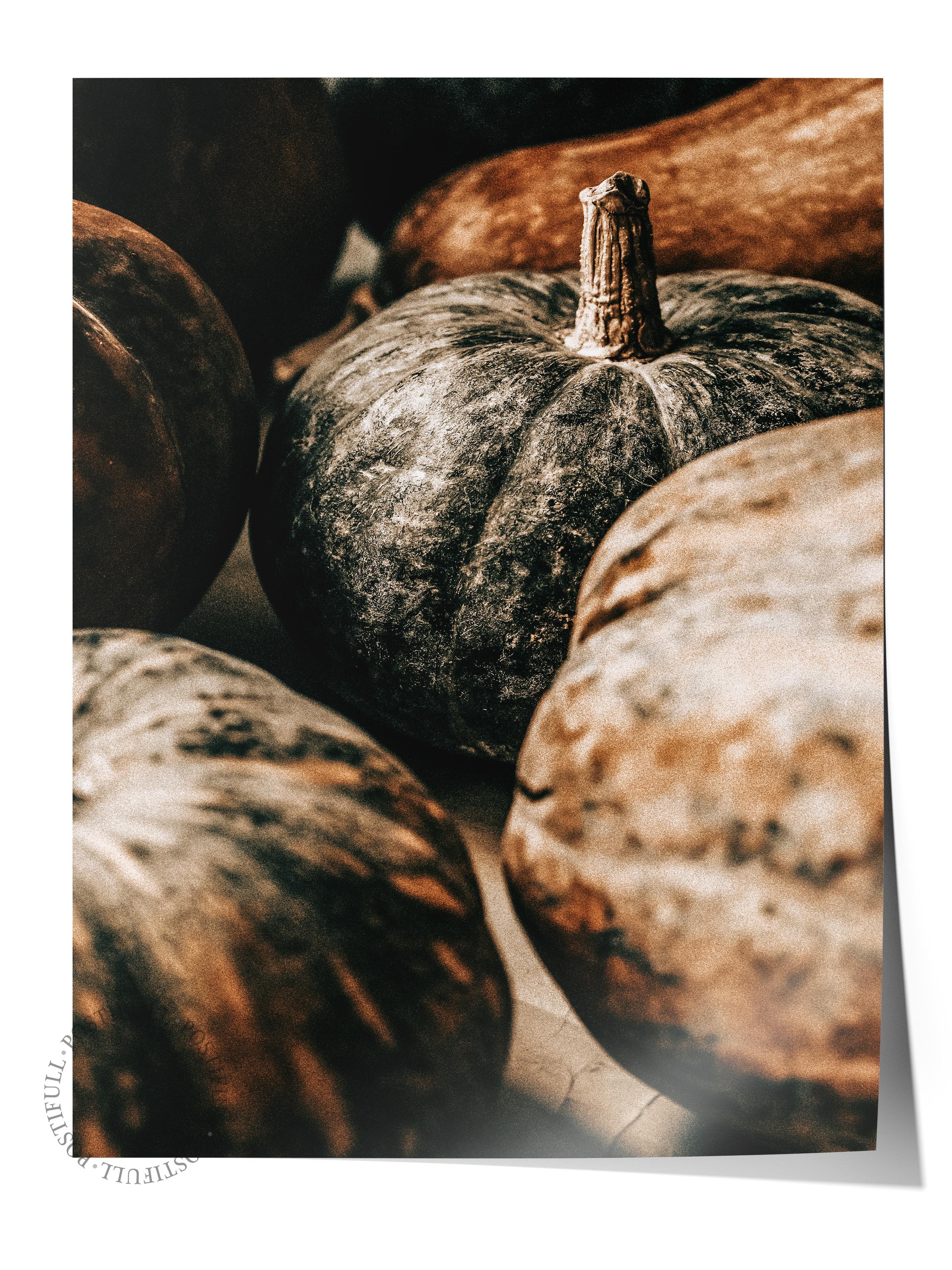 Rustic Çerçevesiz Poster, İskandinav Kahverengi Poster, NO:484 Kabaklar Fotoğraf