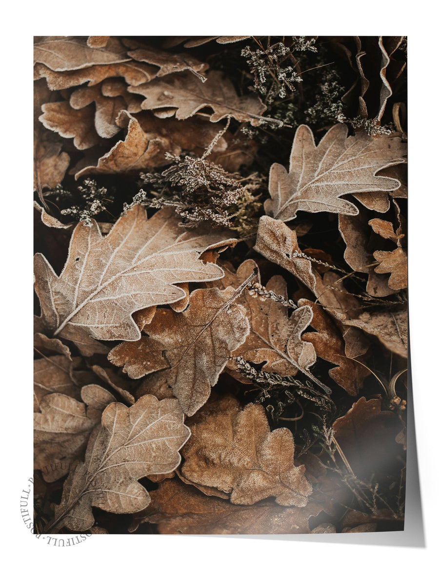 Farklı Tonlarda Sonbahar Yaprakları Rustic Çerçevesiz Poster