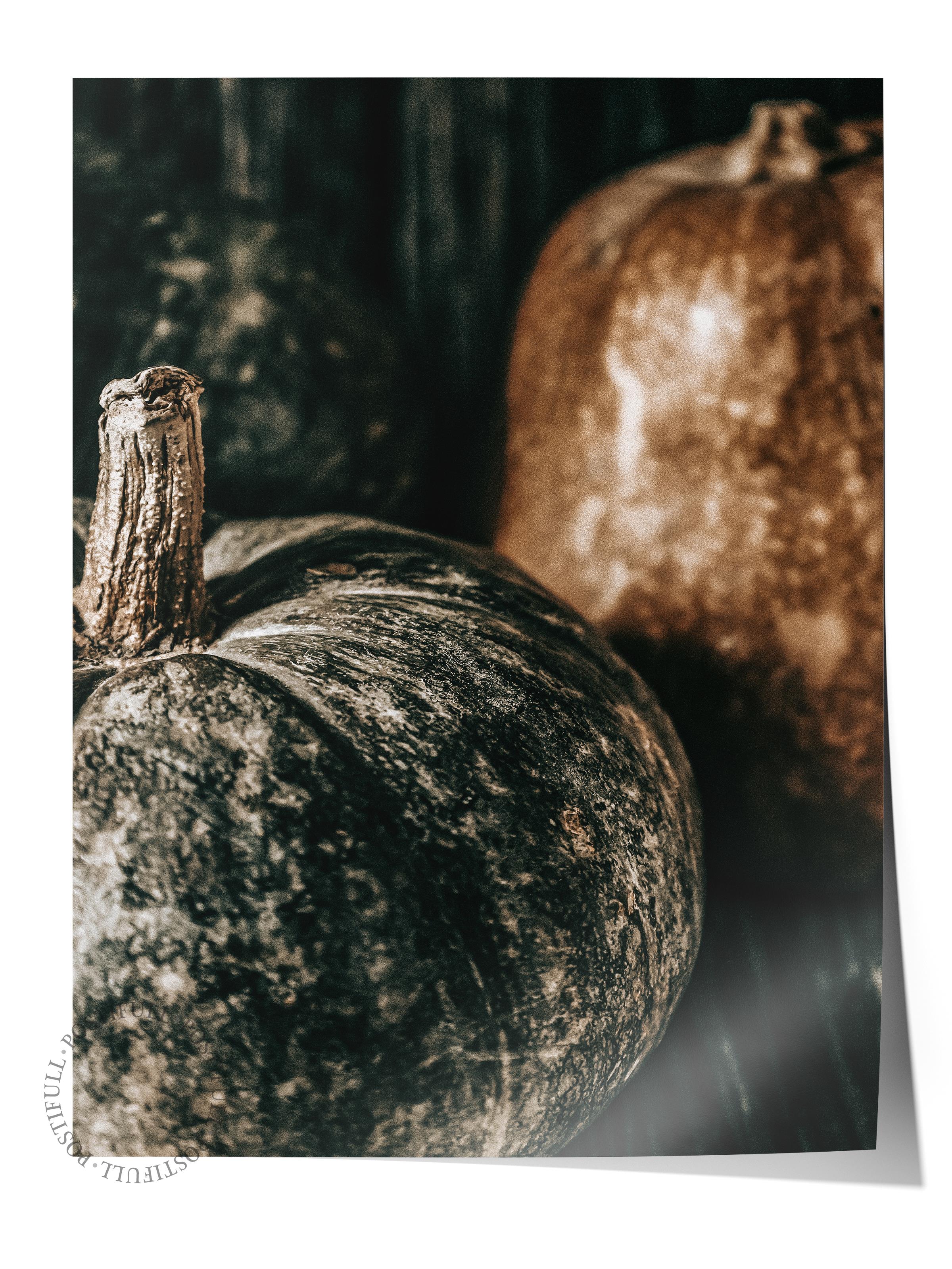 Rustic Çerçevesiz Poster, İskandinav Kahverengi Poster, NO:486 Kabak Fotoğraf