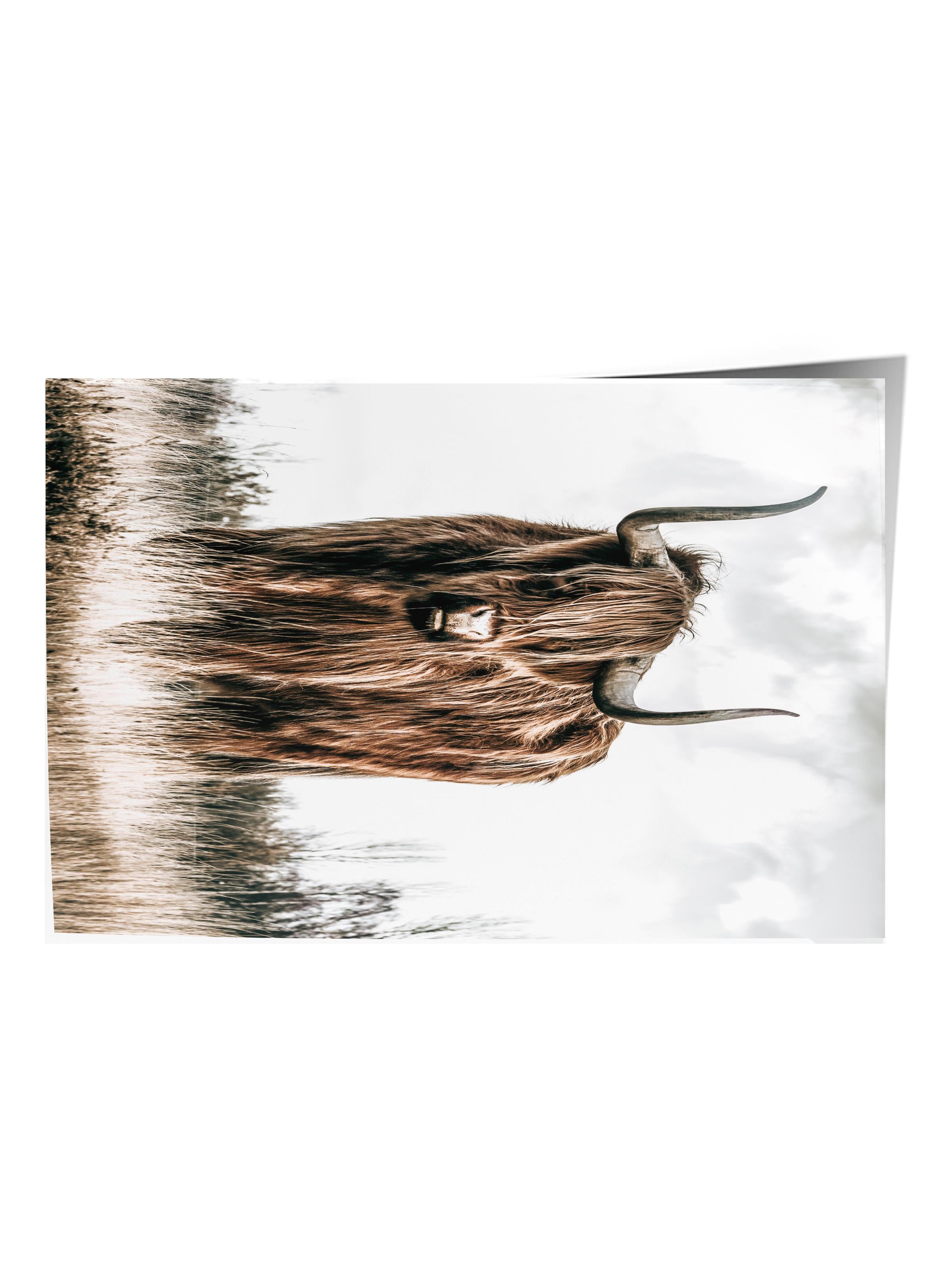 Rustic Çerçevesiz Poster, İskandinav Kahverengi Tablo, NO:489 Sığır Fotoğraf