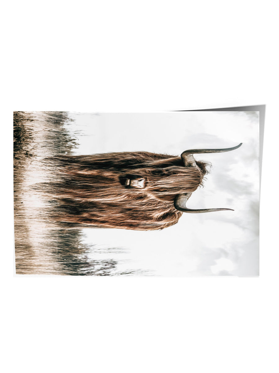 Dağlık İskoç Sığırı Rustic Çerçevesiz Poster