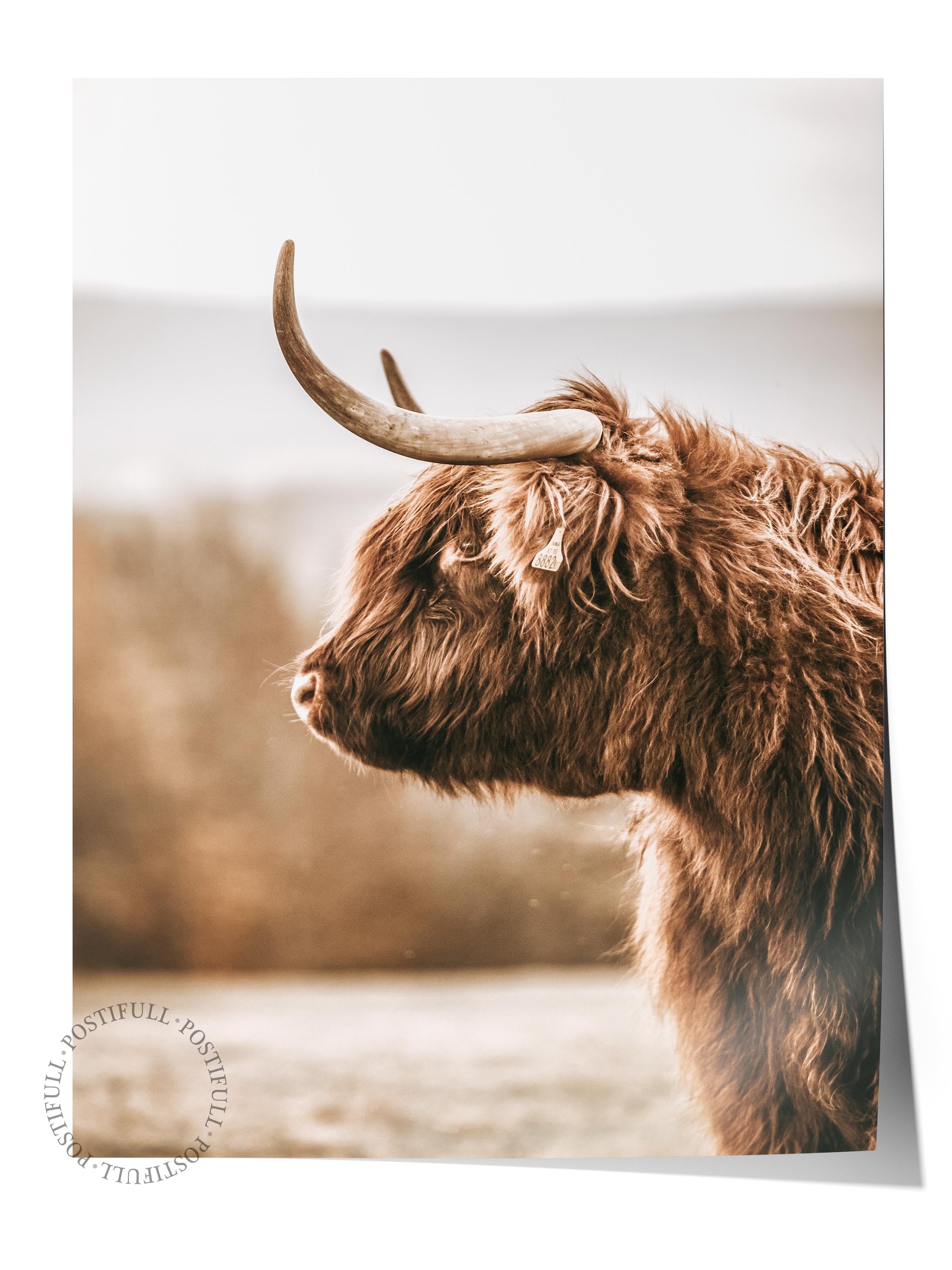 Rustic Çerçevesiz Poster, İskandinav Kahverengi Poster, NO:49 Kırmızı İnek Fotoğraf, Dikey