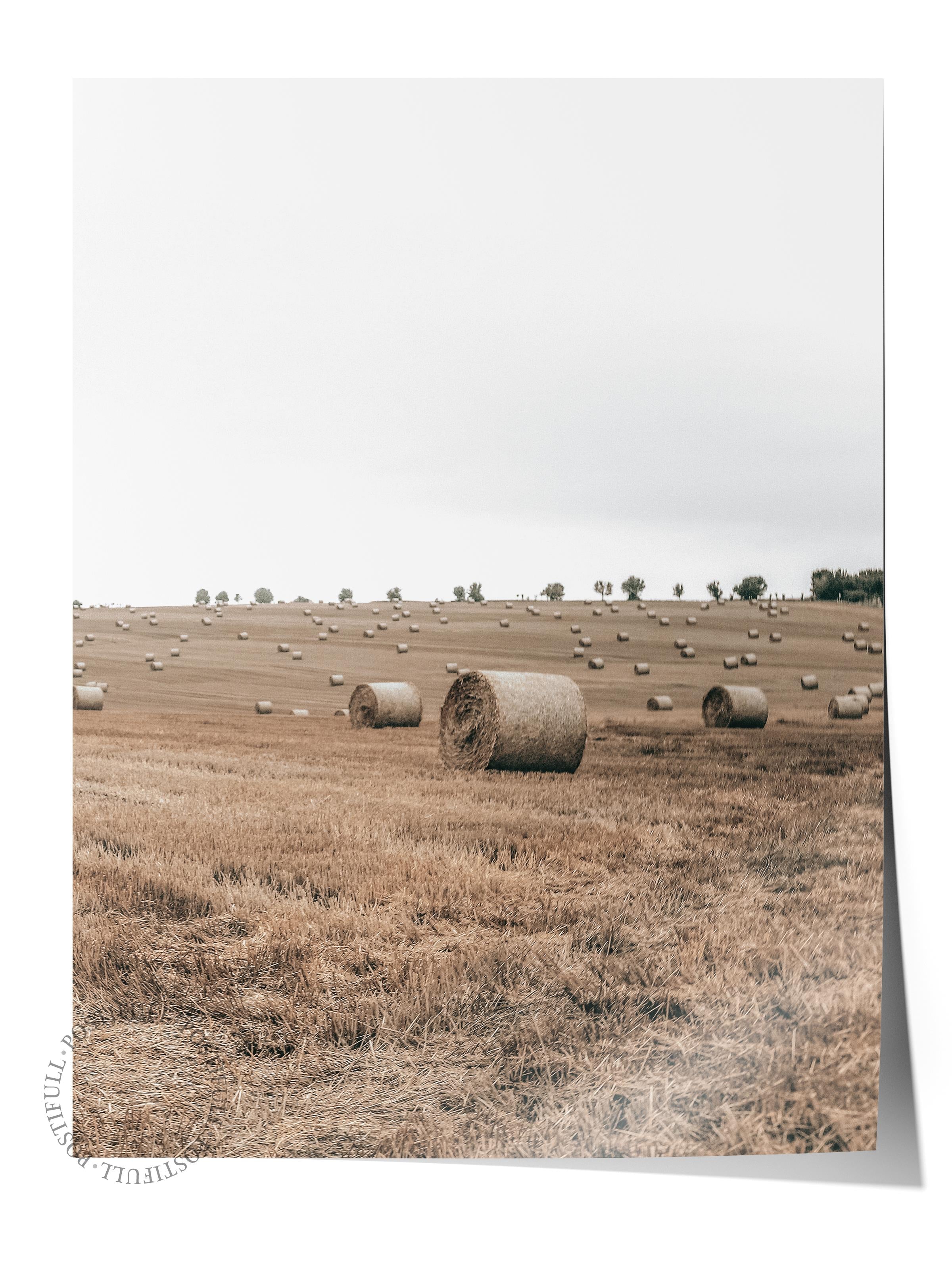 Rustic Çerçevesiz Poster, İskandinav Kahverengi Poster, NO:50 Kır Çiçekleri Fotoğraf, Dikey