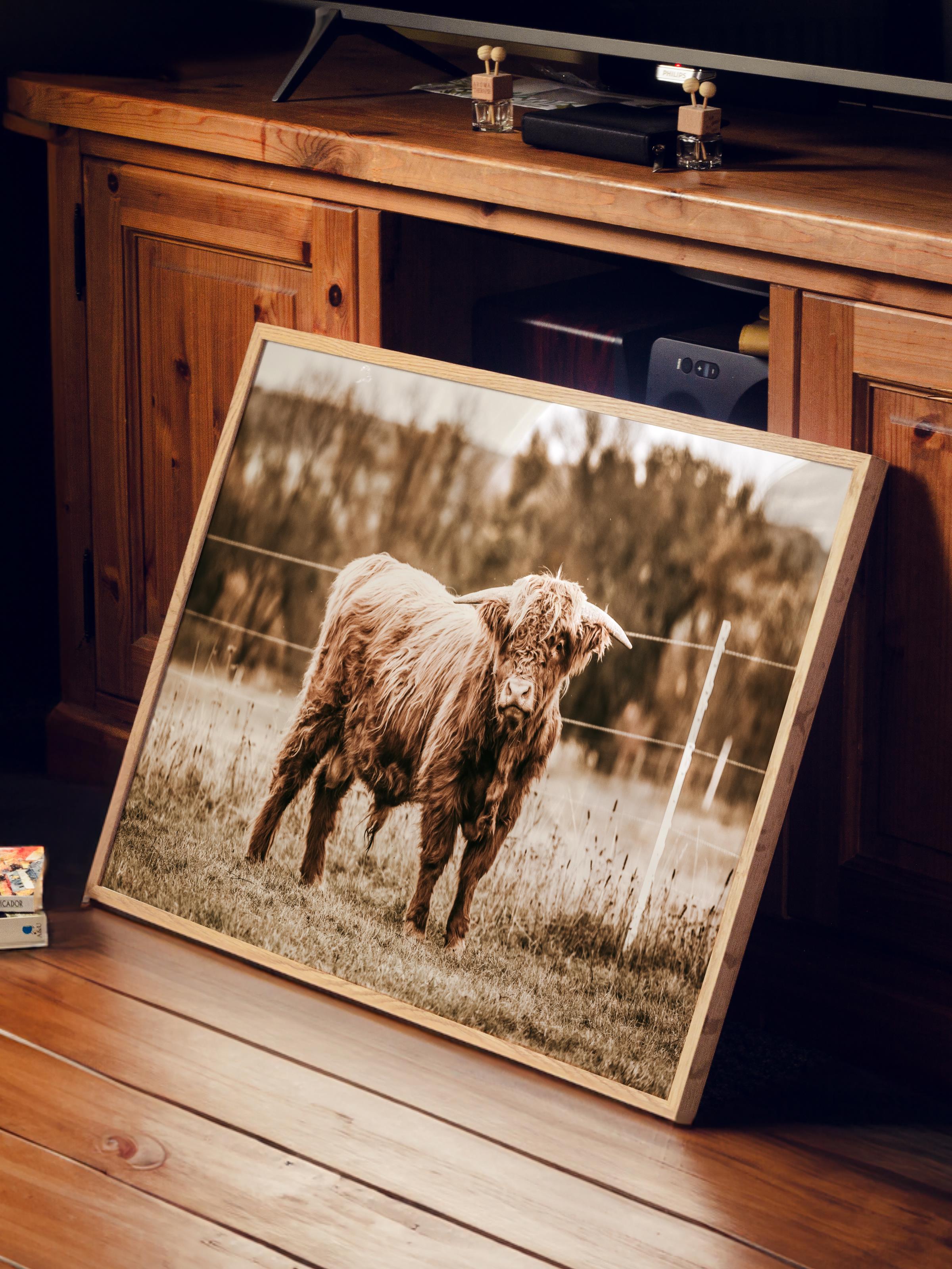 Rustic Çerçevesiz Poster, İskandinav Kahverengi Tablo, NO:500 Sığır Fotoğraf