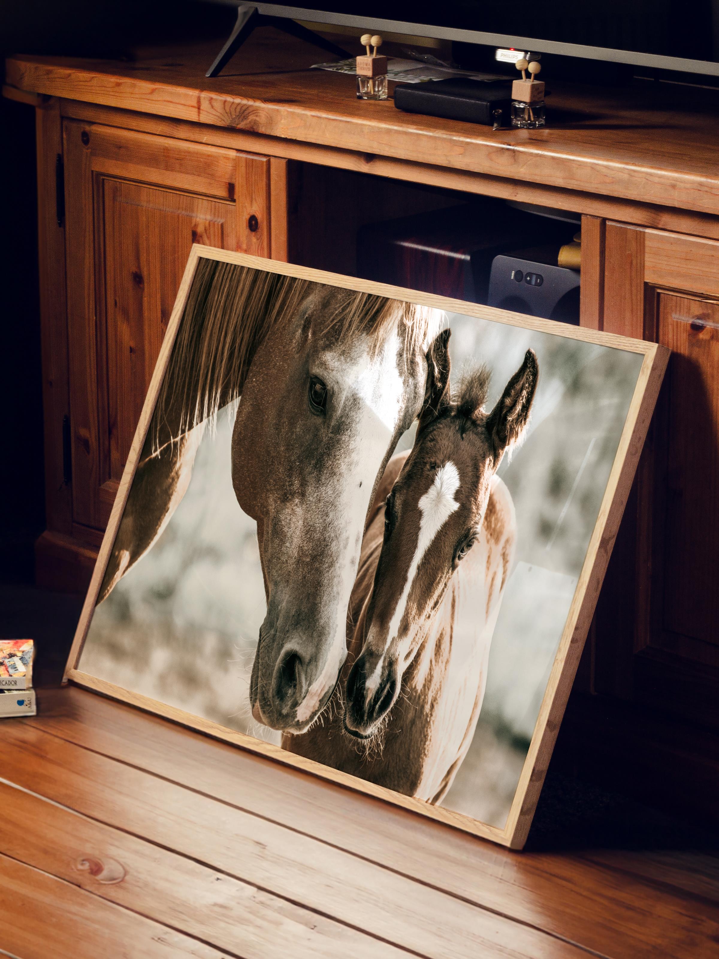 Rustic Çerçevesiz Poster, İskandinav Kahverengi Tablo, NO:501 Atlar Fotoğraf