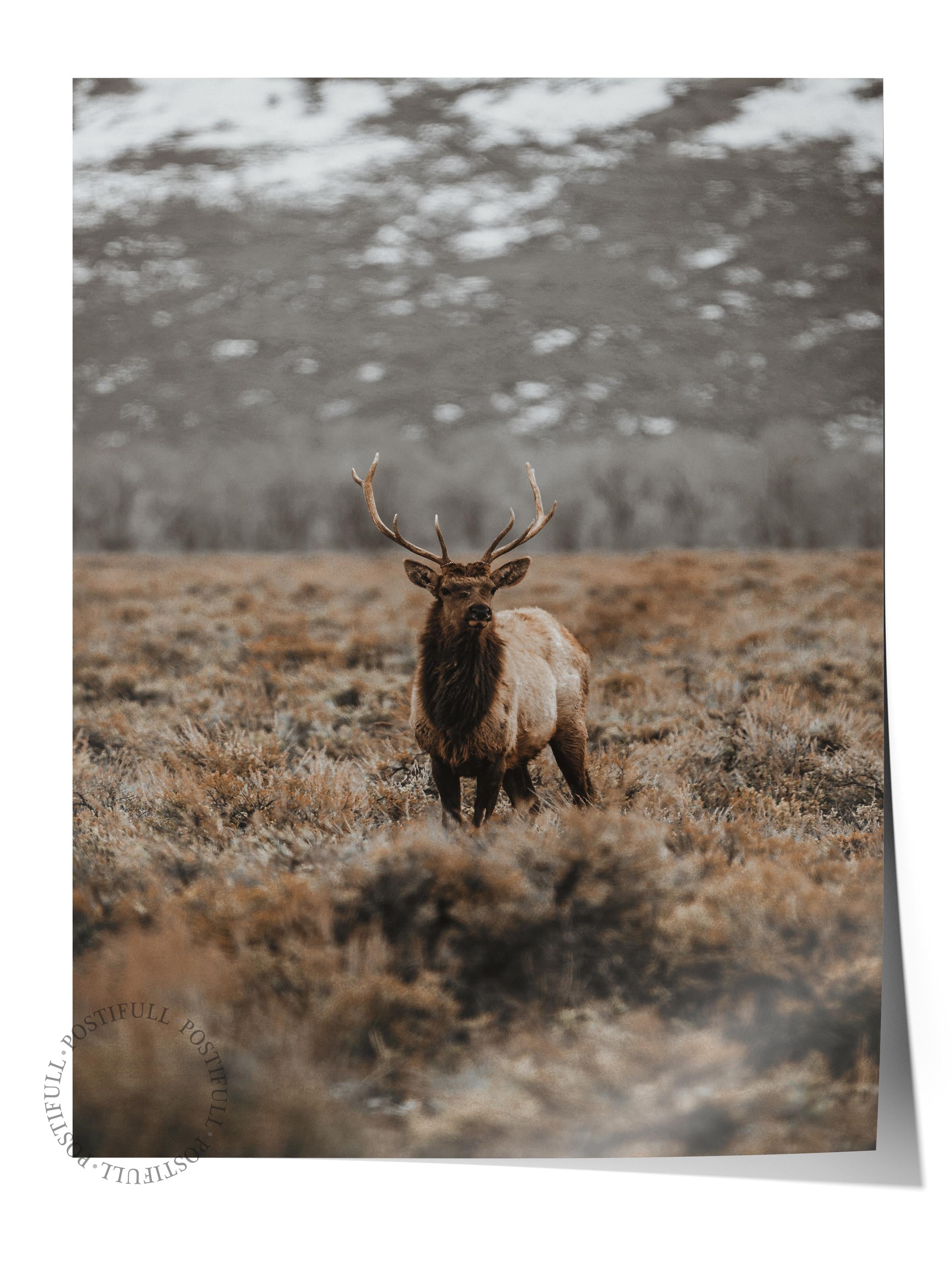 Rustic Çerçevesiz Poster, İskandinav Kahverengi Poster, NO:51 Uzakta İnek Fotoğraf, Dikey