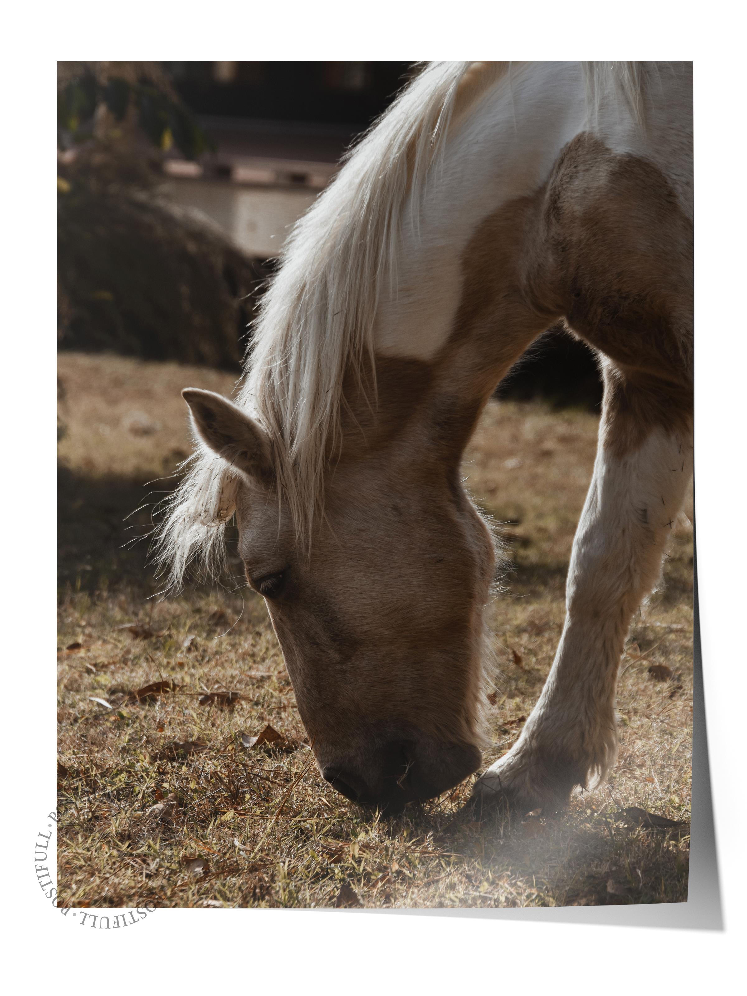 Rustic Çerçevesiz Poster, İskandinav Kahverengi Poster, NO:52 Otlayan At Fotoğraf, Dikey