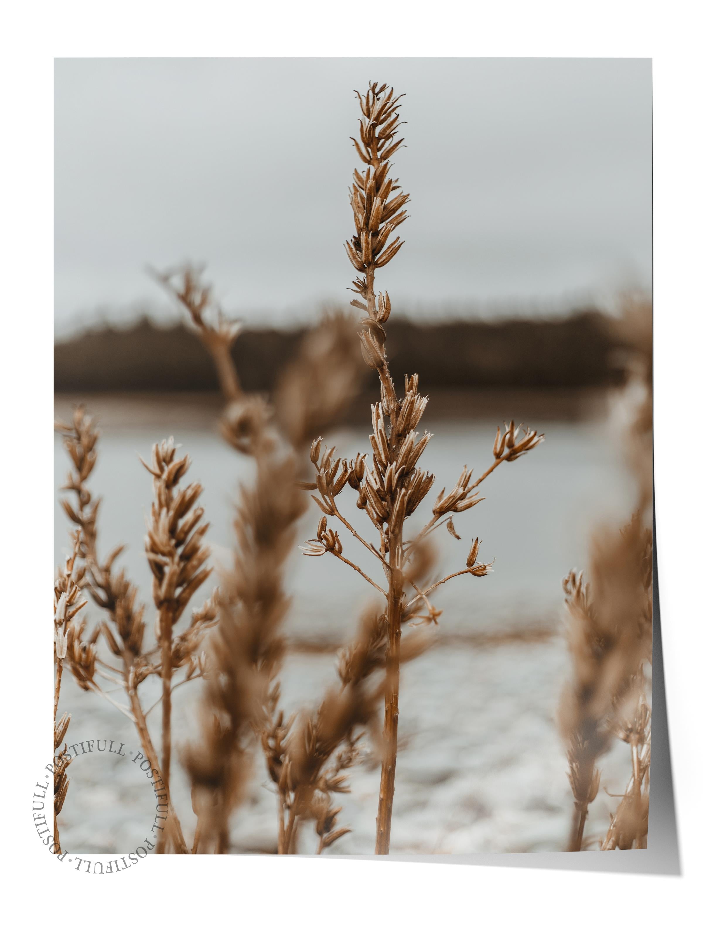 Rustic Çerçevesiz Poster, İskandinav Kahverengi Poster, NO:53 Buğday Tarlası Fotoğraf, Dikey