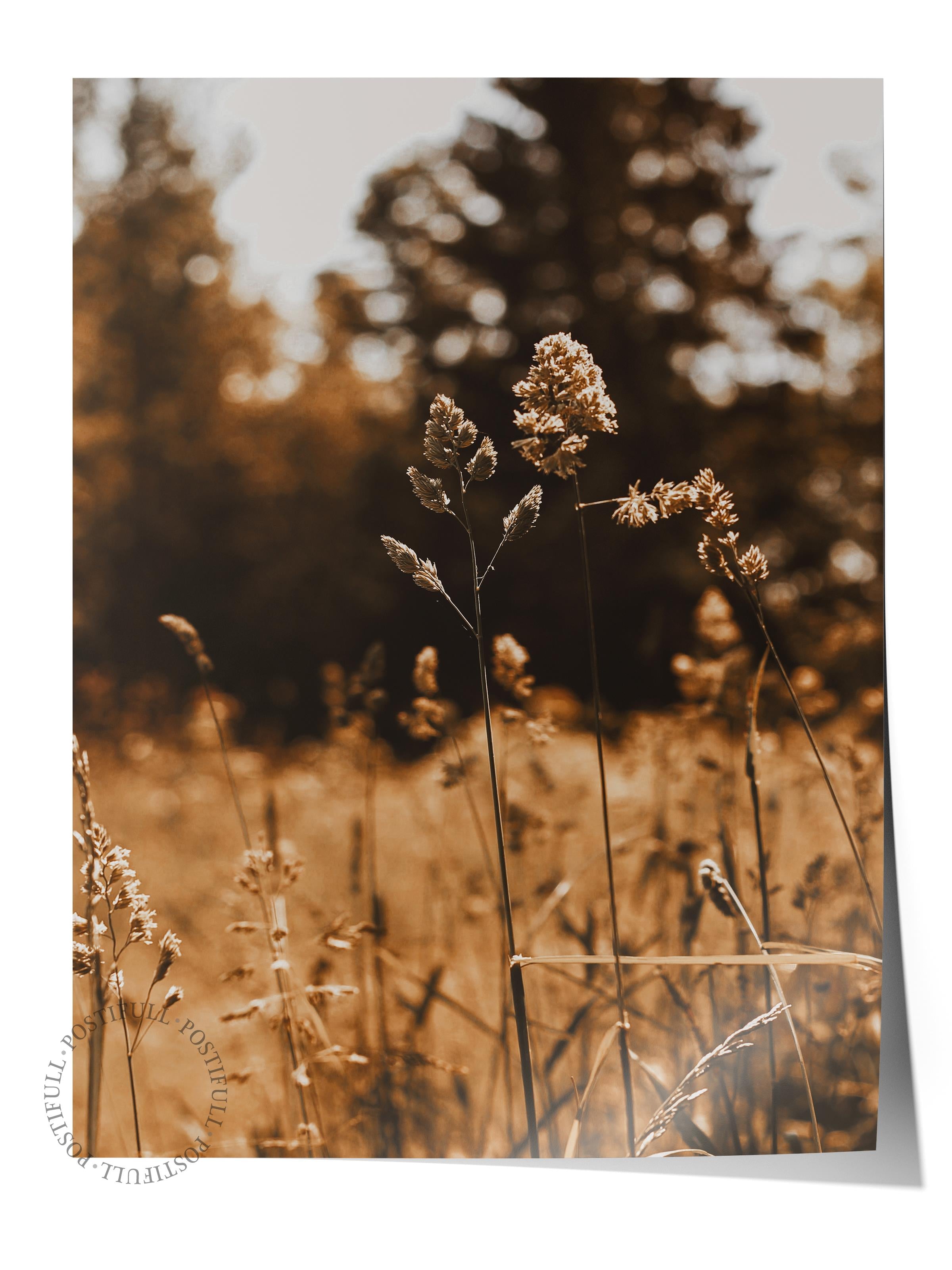 Rustic Çerçevesiz Poster, İskandinav Kahverengi Poster, NO:54 Güz Manzarası Fotoğraf, Dikey
