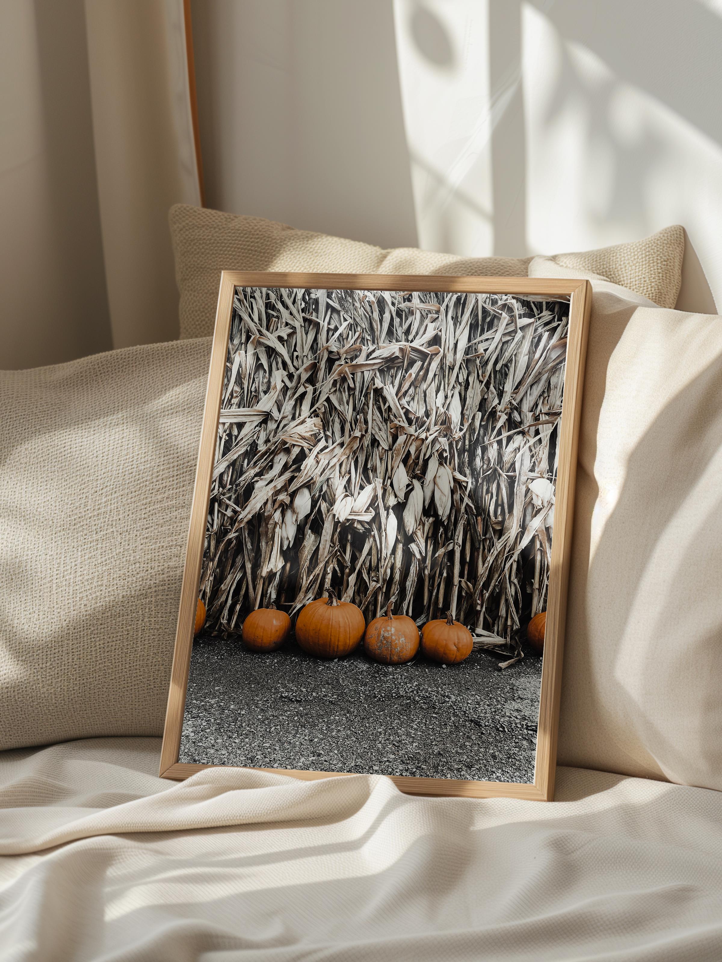 Rustic Çerçevesiz Poster, İskandinav Kahverengi Poster, NO:55 Balkabakları Fotoğraf, Dikey