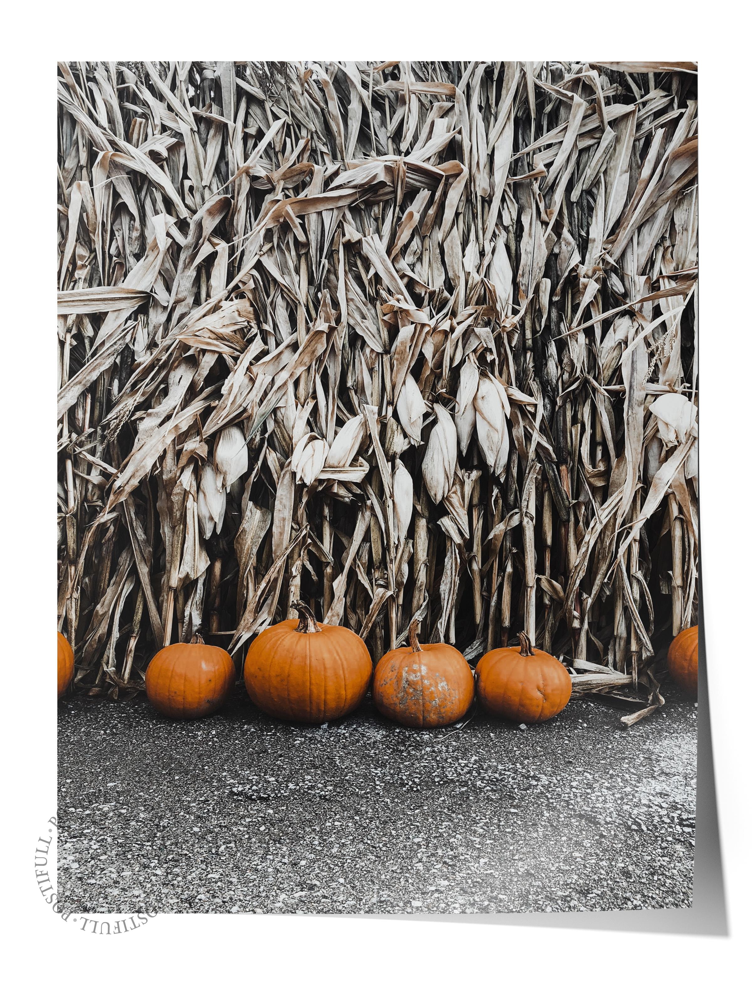 Rustic Çerçevesiz Poster, İskandinav Kahverengi Poster, NO:55 Balkabakları Fotoğraf, Dikey