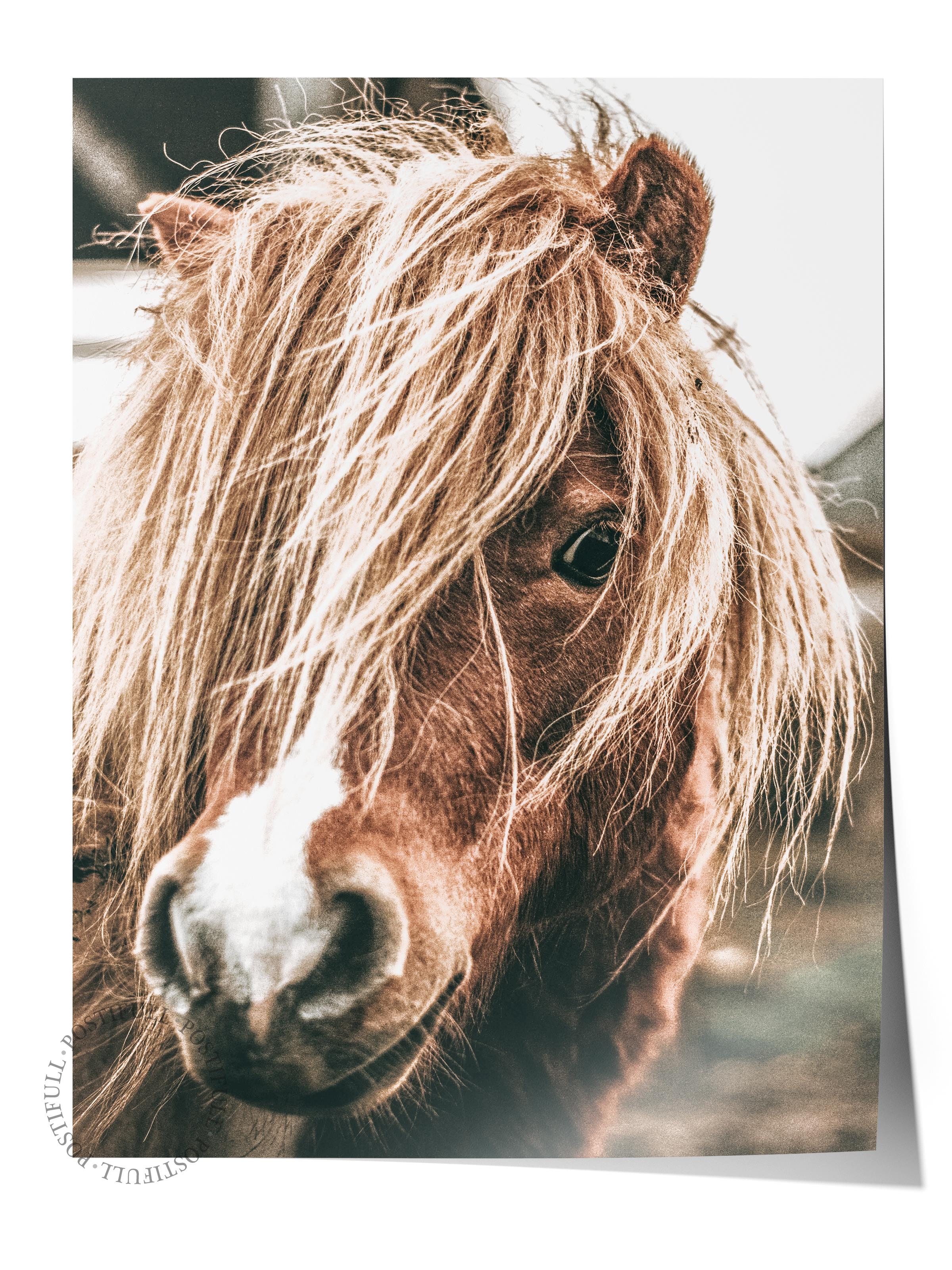Rustic Çerçevesiz Poster, İskandinav Kahverengi Poster, NO:60 Yakın Plan At Fotoğraf, Dikey