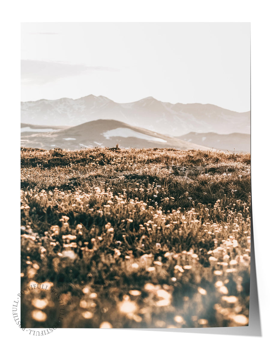 Dağ Manzaralı Kır Çiçekleri Rustic Çerçevesiz Poster