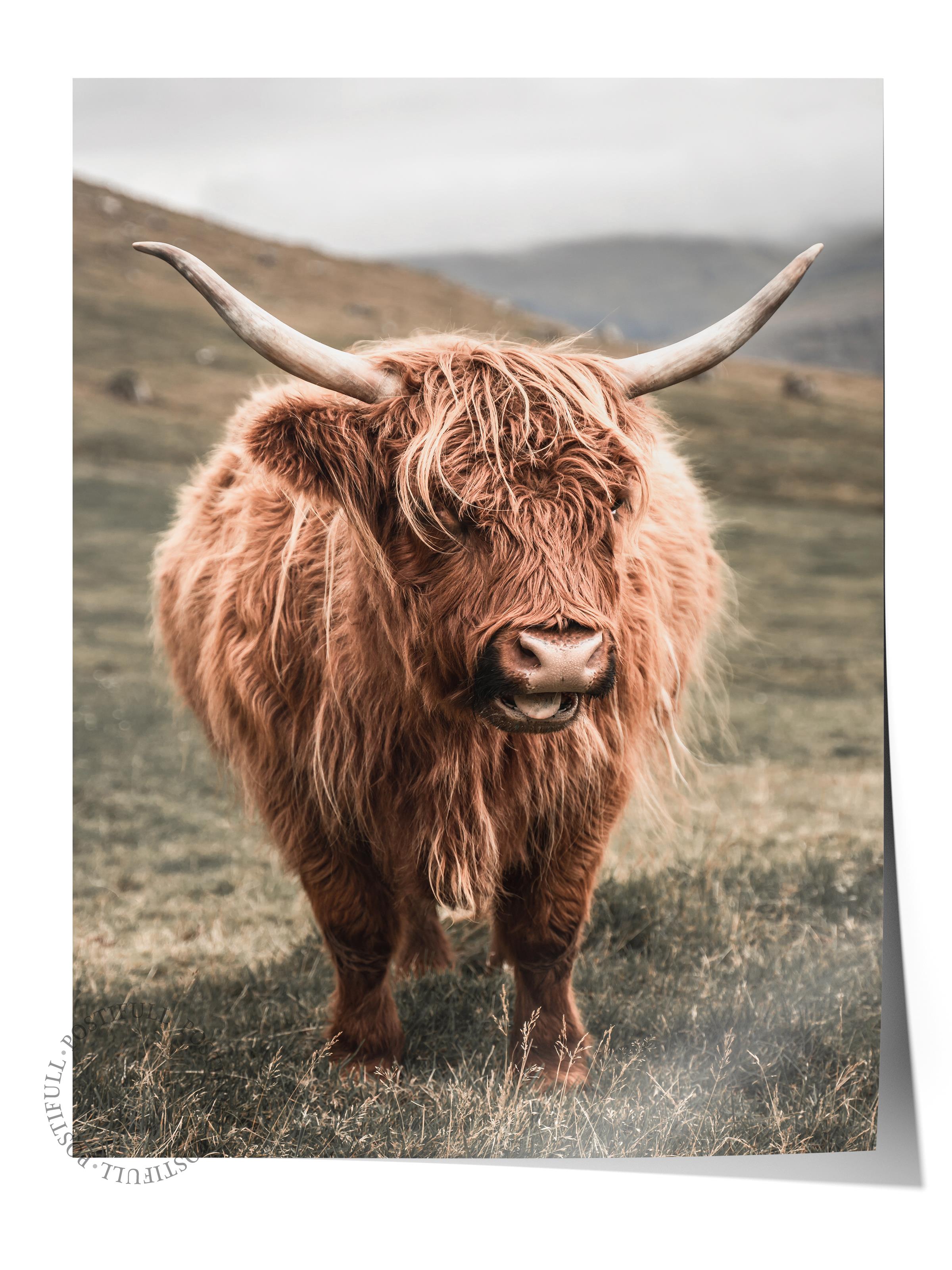 Rustic Çerçevesiz Poster, İskandinav Kahverengi Poster, NO:64 Uzaktaki İnek Fotoğraf, Dikey