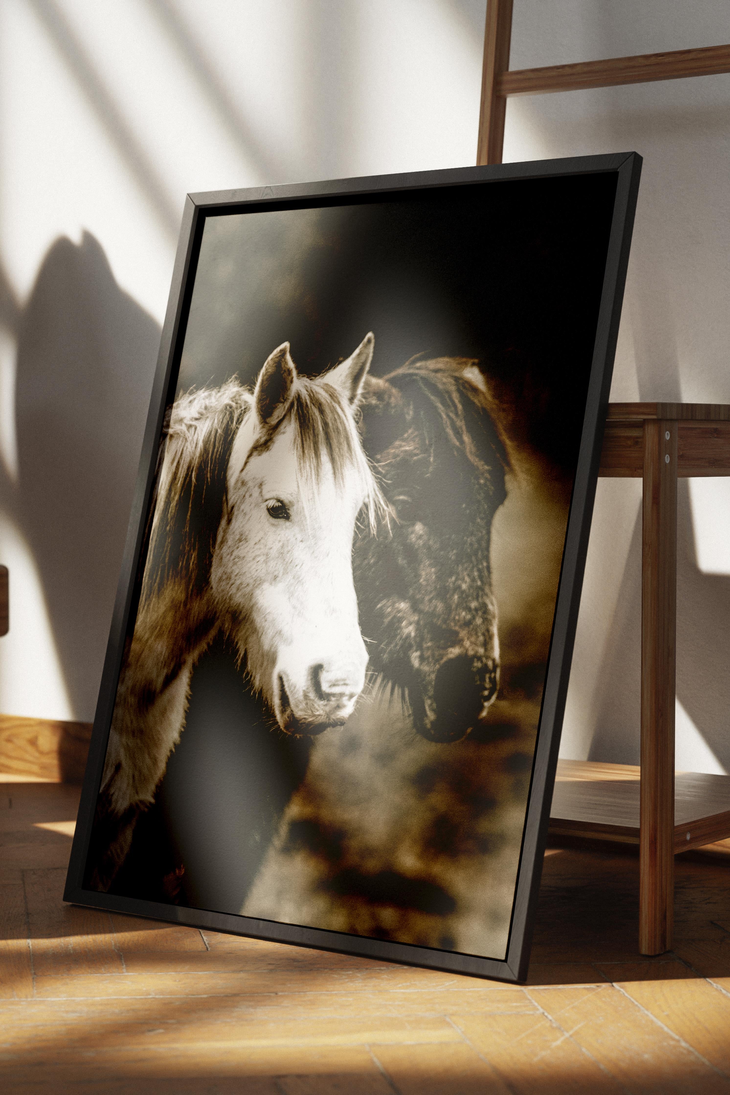 Rustic Çerçevesiz Poster, İskandinav Kahverengi Poster, NO:65 Beyaz At Fotoğraf, Dikey