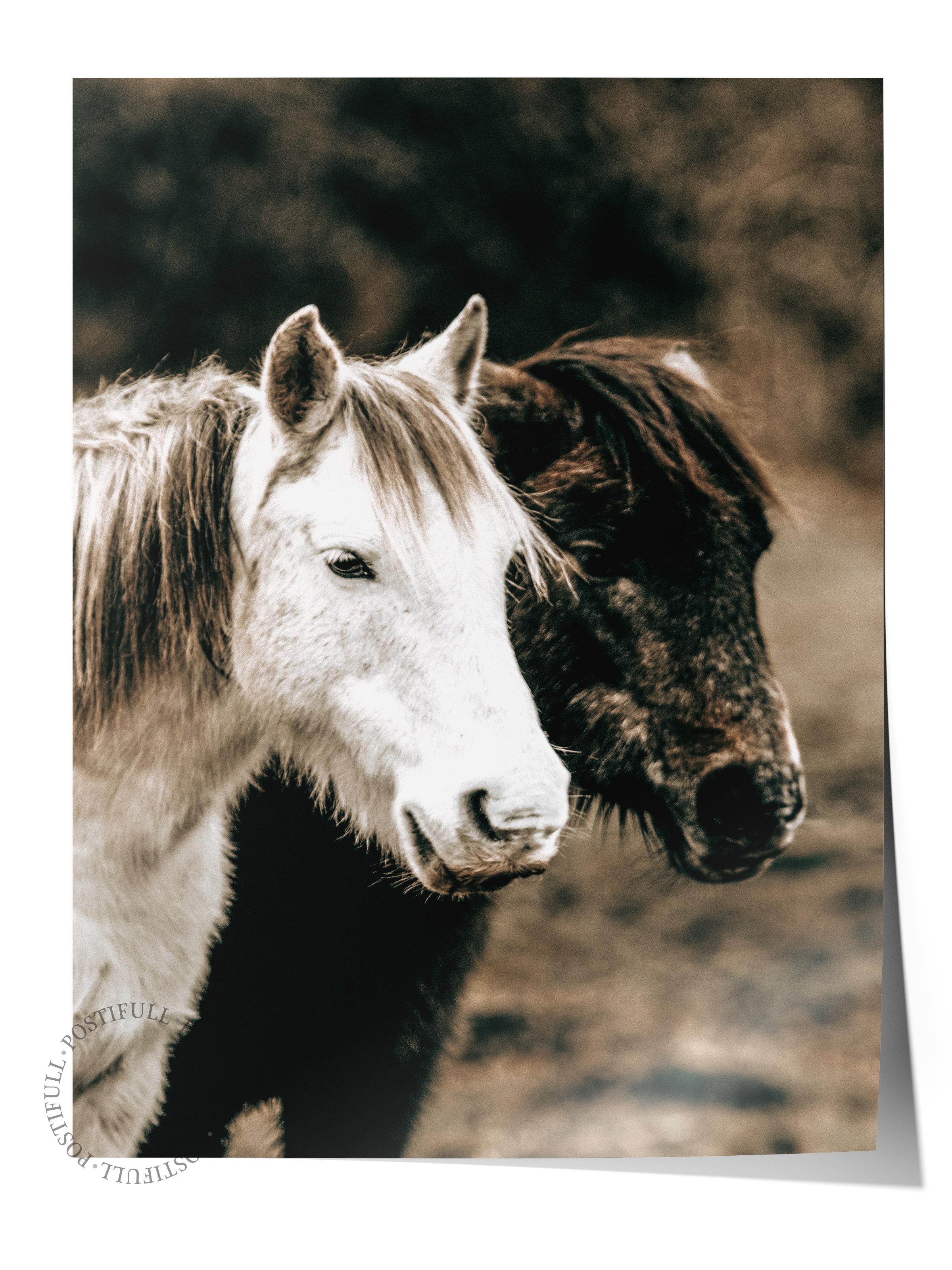 Rustic Çerçevesiz Poster, İskandinav Kahverengi Poster, NO:65 Beyaz At Fotoğraf, Dikey