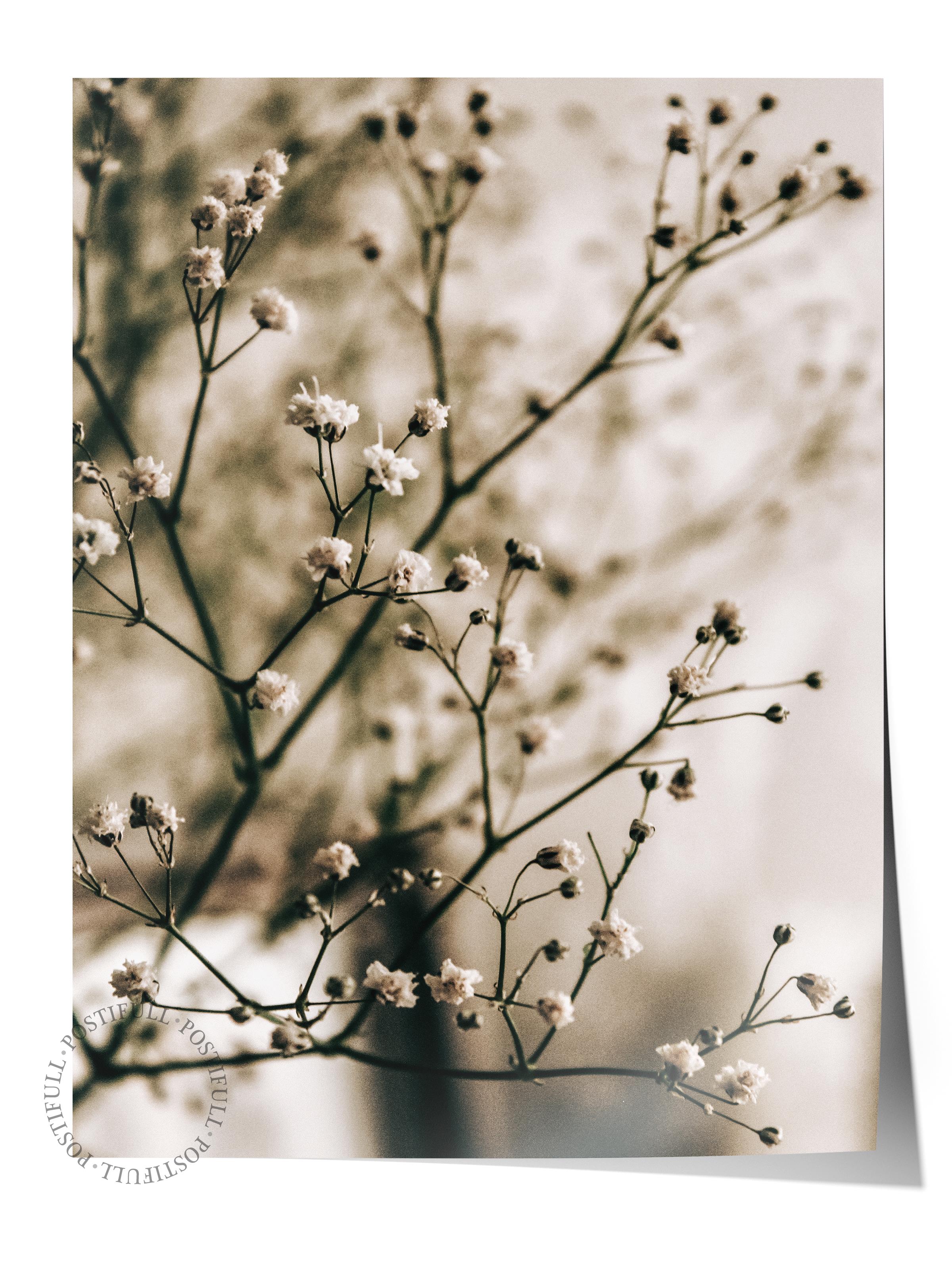 Rustic Çerçevesiz Poster, İskandinav Kahverengi Poster, NO:68 Çiçek Dalı Fotoğraf, Dikey