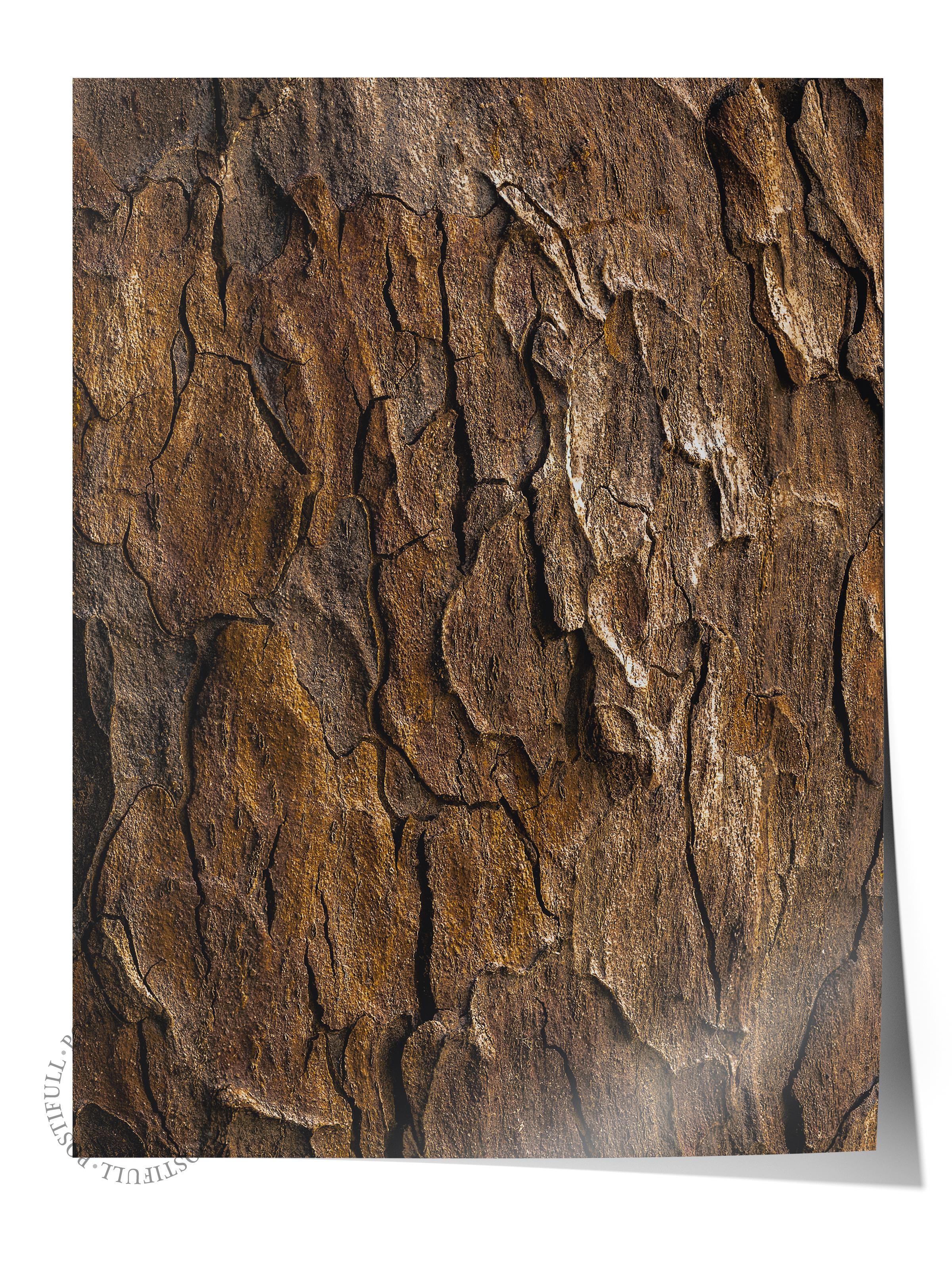 Rustic Çerçevesiz Poster, İskandinav Kahverengi Poster, NO:9 Ağaç Kabuğu Fotoğraf, Dikey