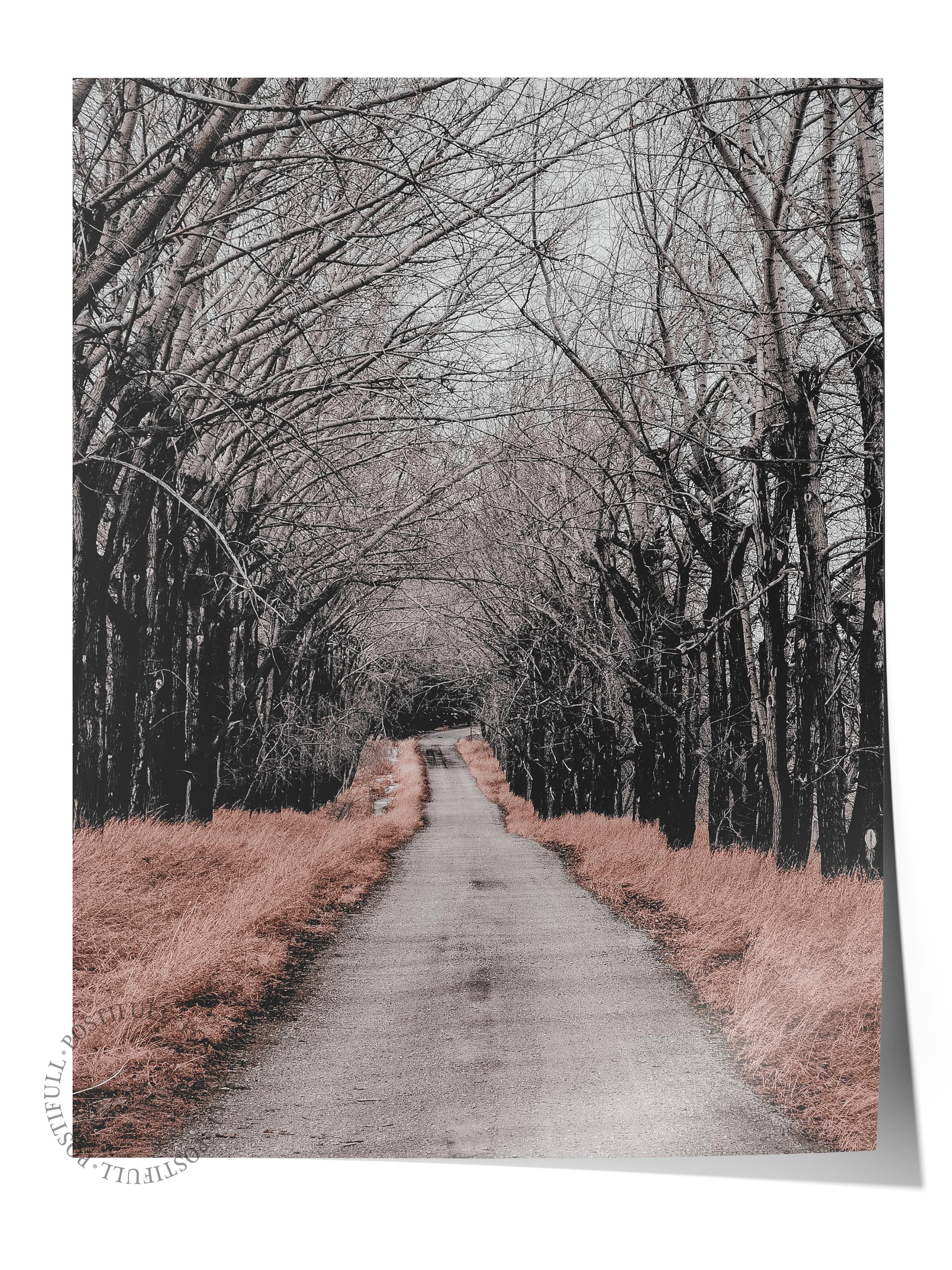 Rustic Çerçevesiz Poster, İskandinav Kahverengi Poster, NO:94 Orman Yolu Fotoğraf, Dikey