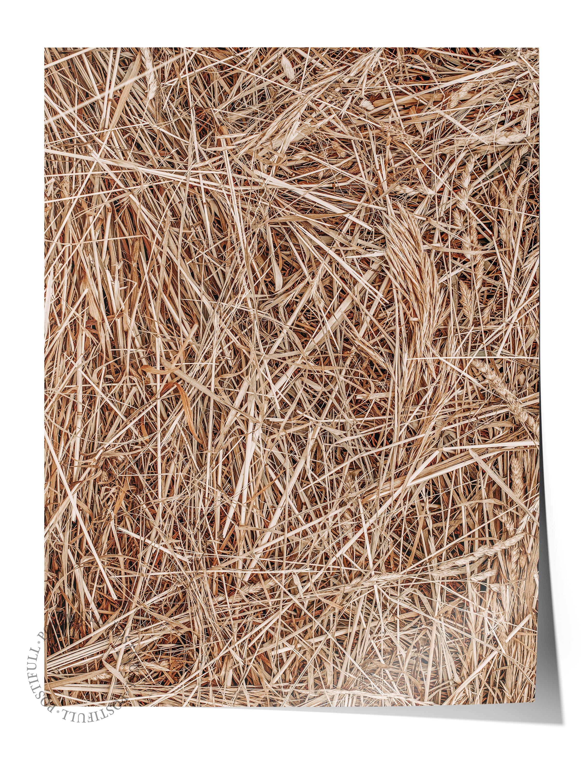 Rustic Çerçevesiz Poster, İskandinav Kahverengi Poster, NO:97 Kurumuş Çimenler Fotoğraf, Dikey