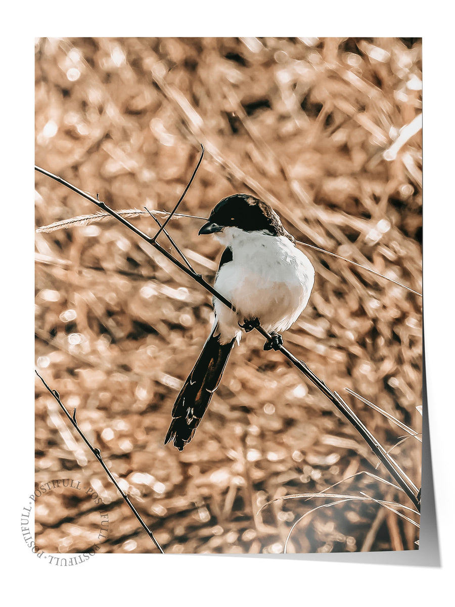 Kuru Otlar Arasında Kuş Rustic Çerçevesiz Poster
