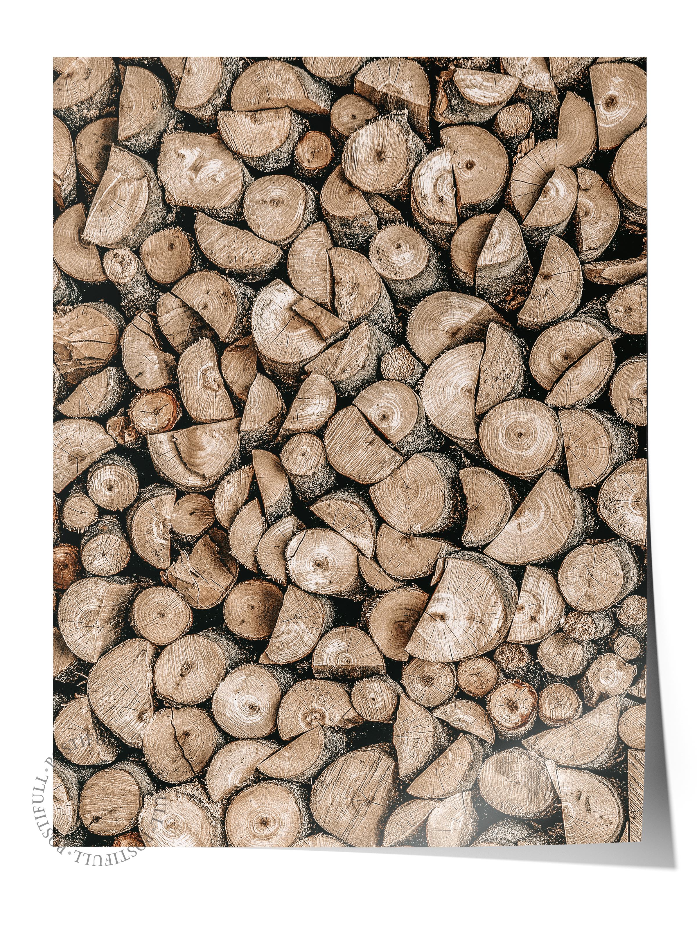 Rustic Çerçevesiz Poster, İskandinav Kahverengi Poster, NO:99 Yığın Halinde Tohumlar Fotoğraf, Dikey
