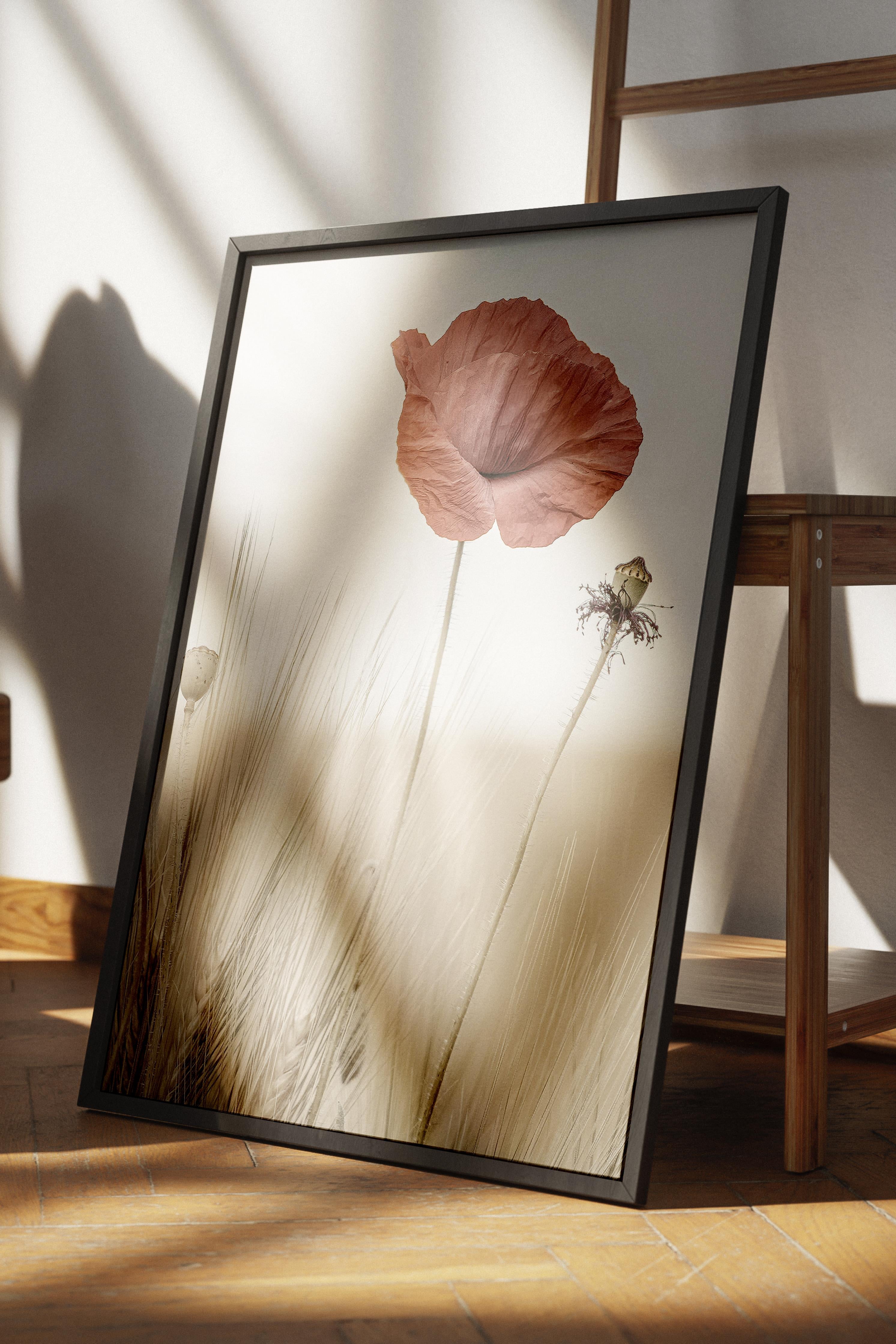 Rustic Çerçevesiz Poster, İskandinav Kırmızı Poster, NO:335 Gelincik Fotoğraf, Dikey