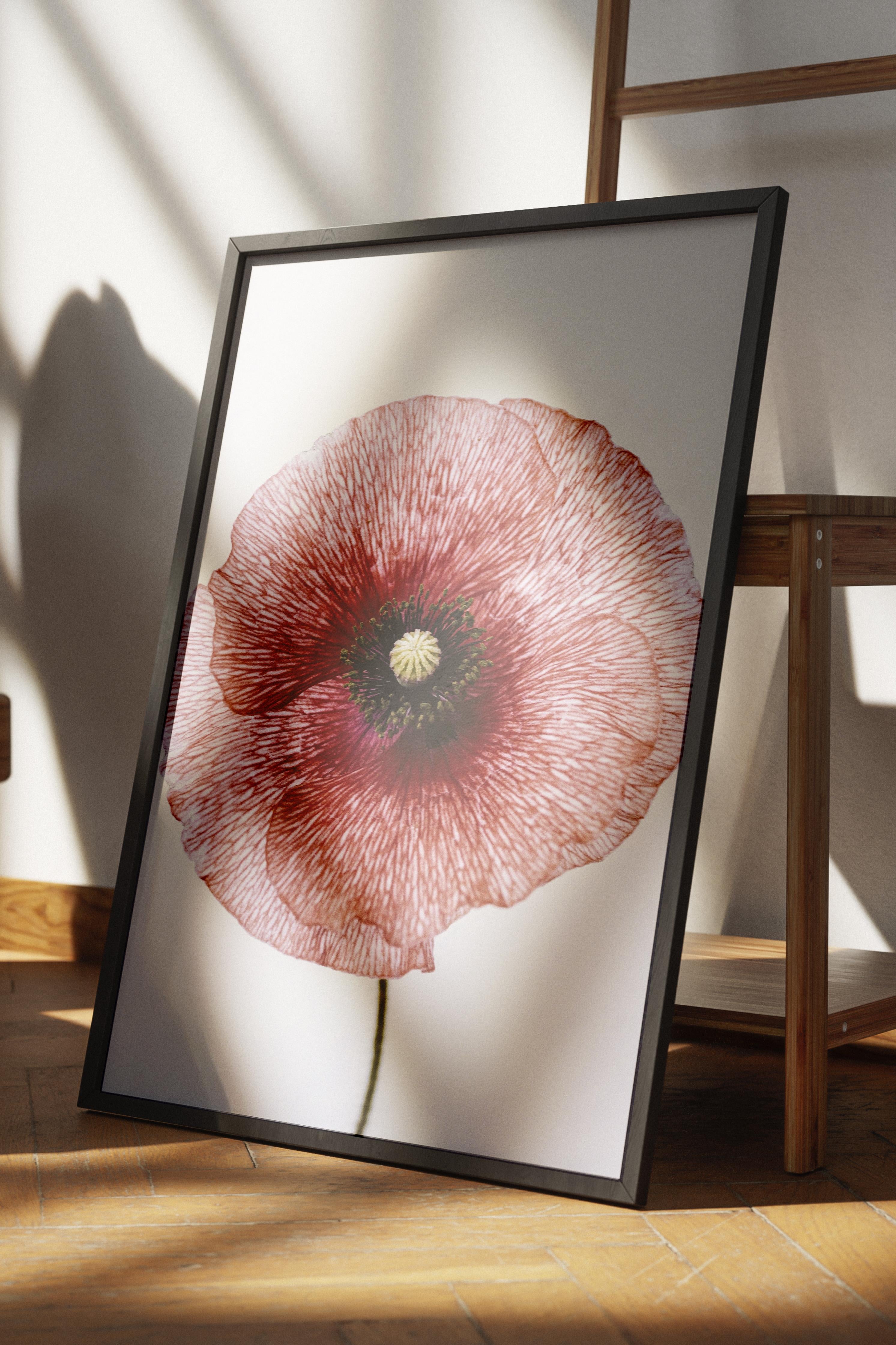 Rustic Çerçevesiz Poster, İskandinav Kırmızı Poster, NO:391 Gelincik Çiçeği Fotoğraf