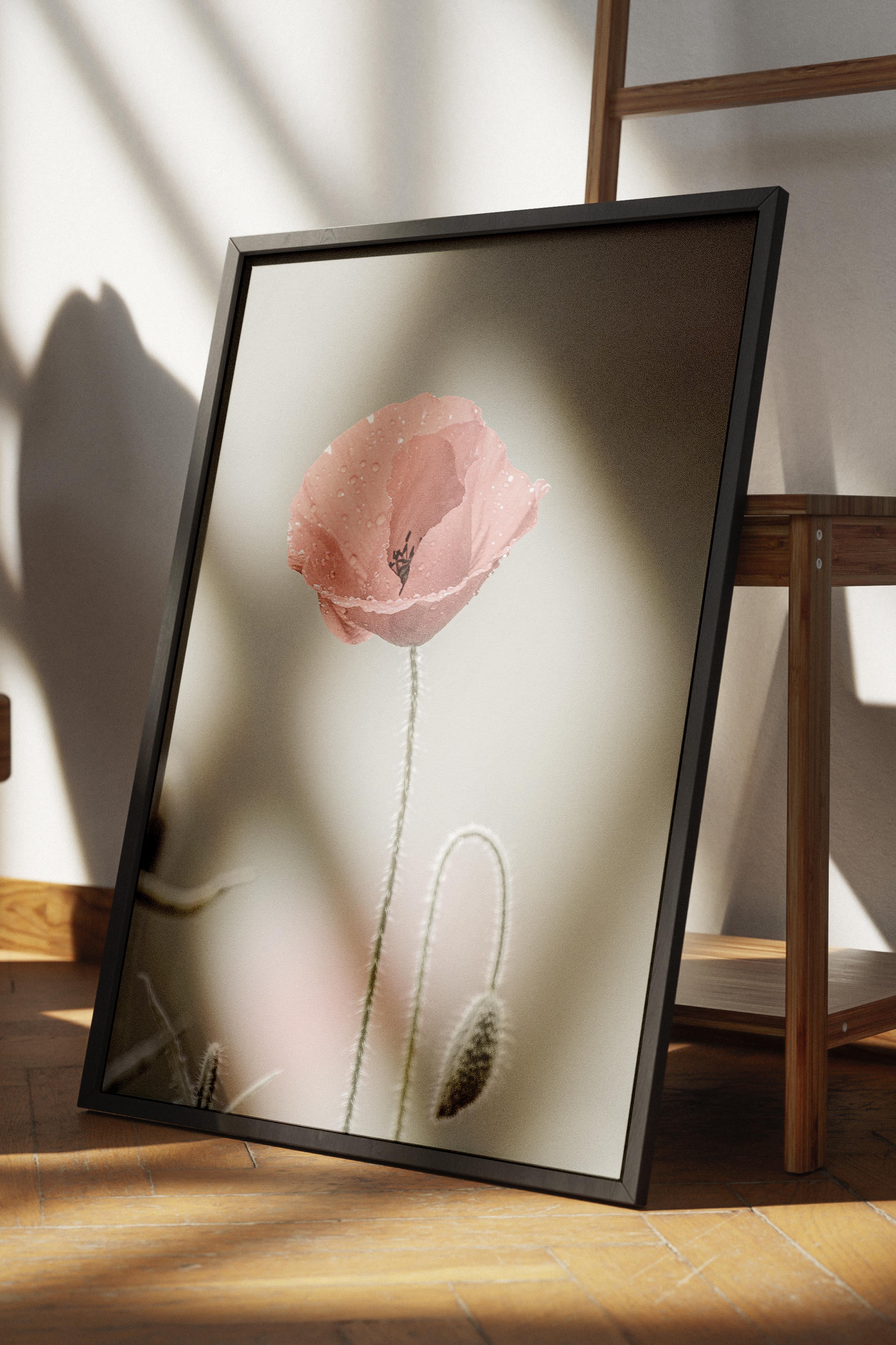 Rustic Çerçevesiz Poster, İskandinav Kırmızı Poster, NO:397 Gelincik Çiçeği Fotoğraf