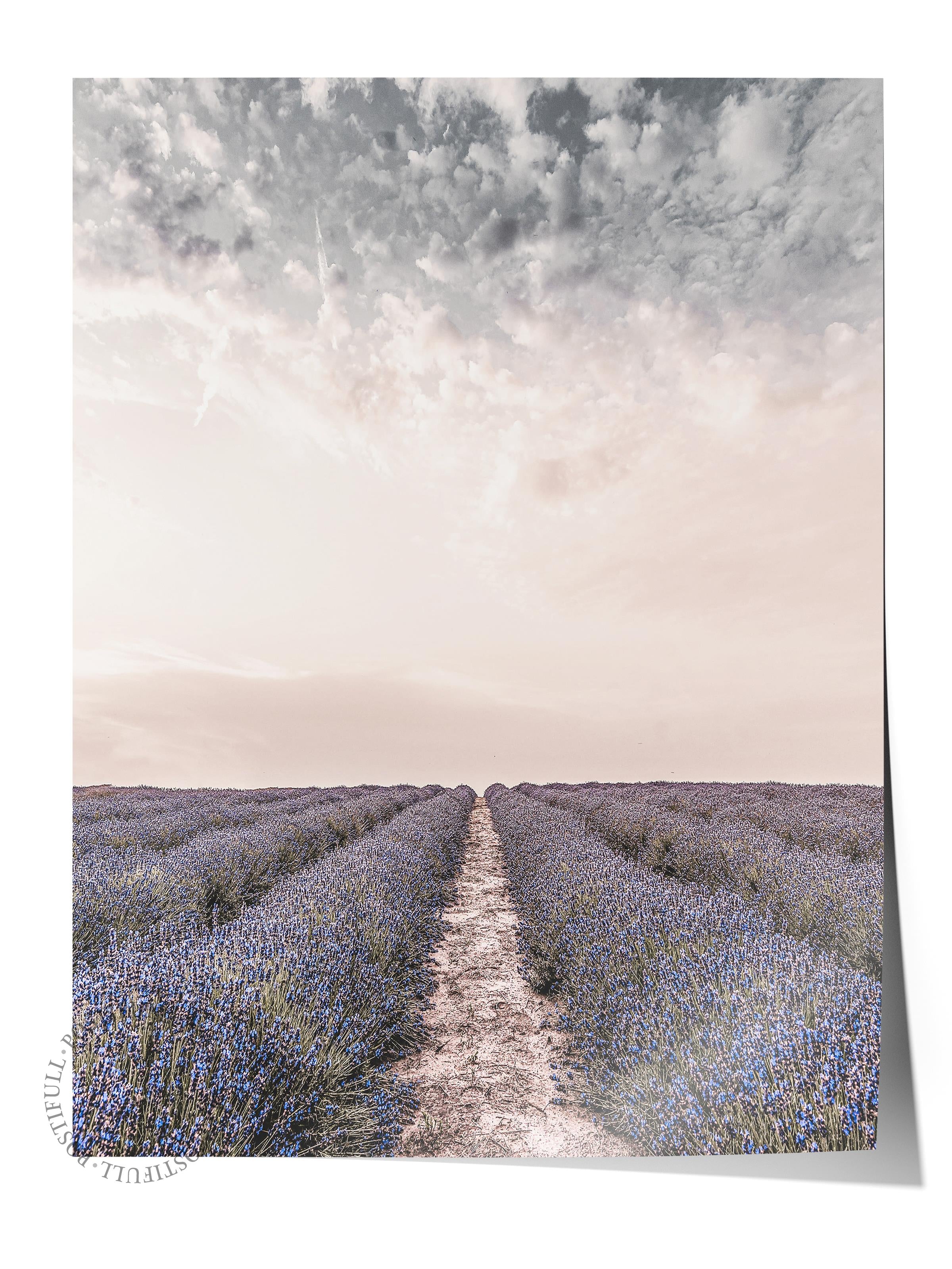 Rustic Çerçevesiz Poster, İskandinav Mor Poster, NO:298 Lavanta Tarlası Fotoğraf, Dikey