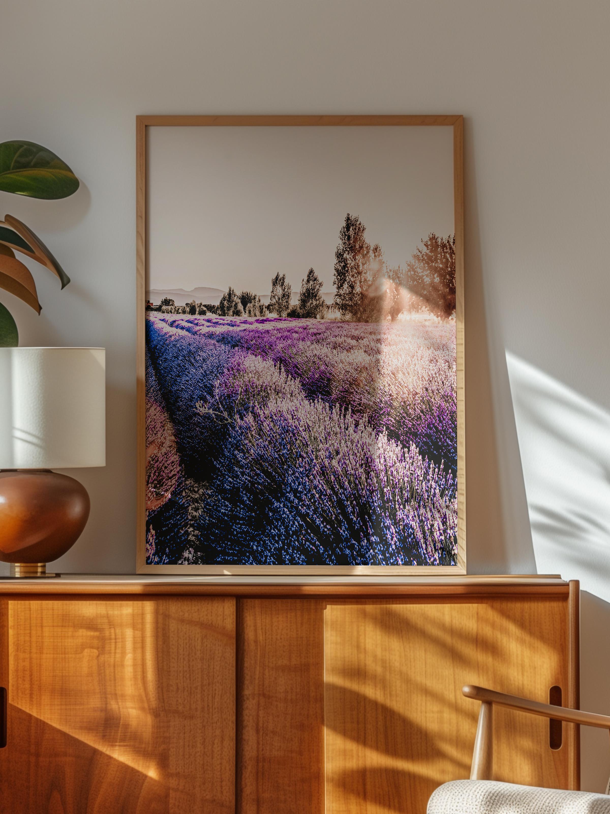 Rustic Çerçevesiz Poster, İskandinav Mor Poster, NO:310 Lavanta Tarlası Fotoğraf, Dikey