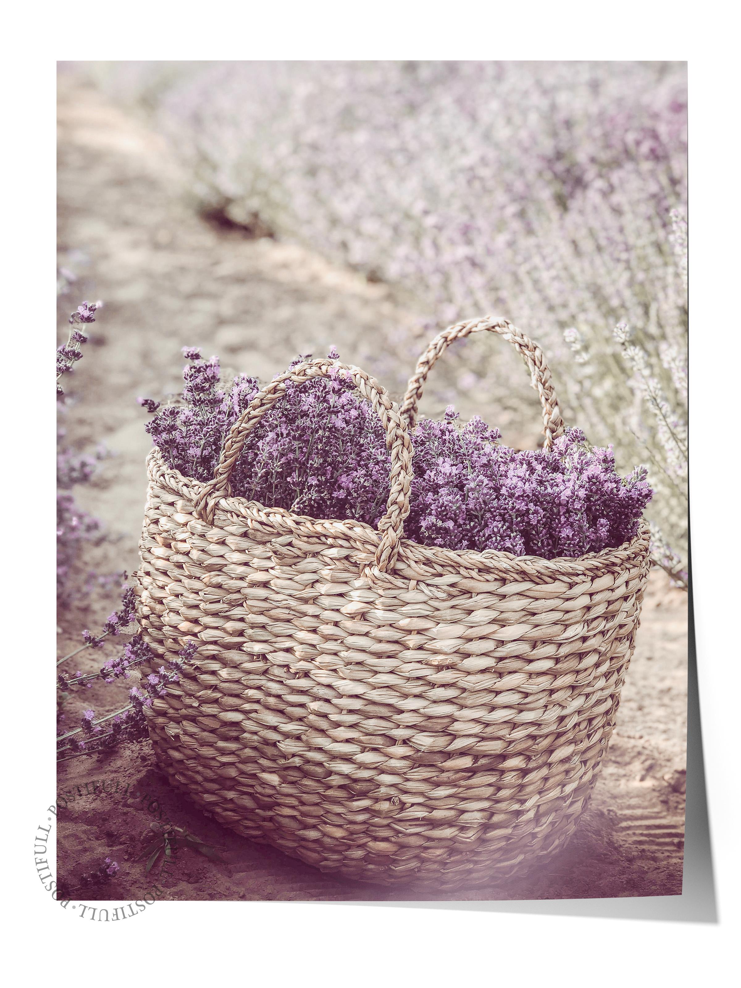 Rustic Çerçevesiz Poster, İskandinav Mor Poster, NO:317 Lavanta Sepeti Fotoğraf, Dikey