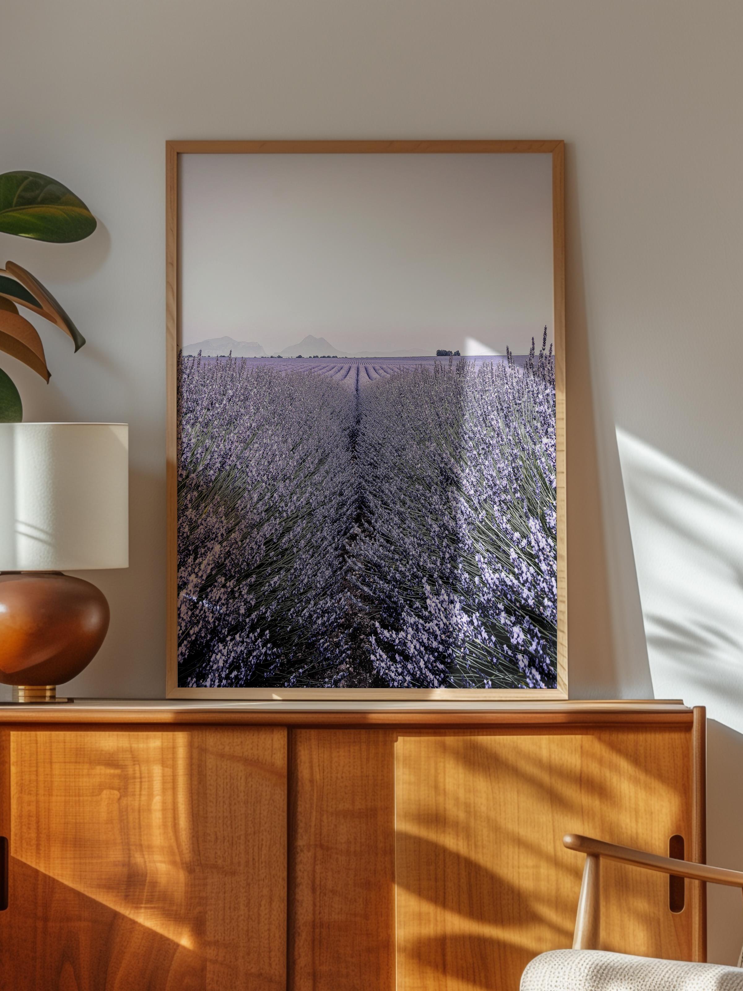Rustic Çerçevesiz Poster, İskandinav Mor Poster, NO:321 Lavanta Tarlası Fotoğraf, Dikey