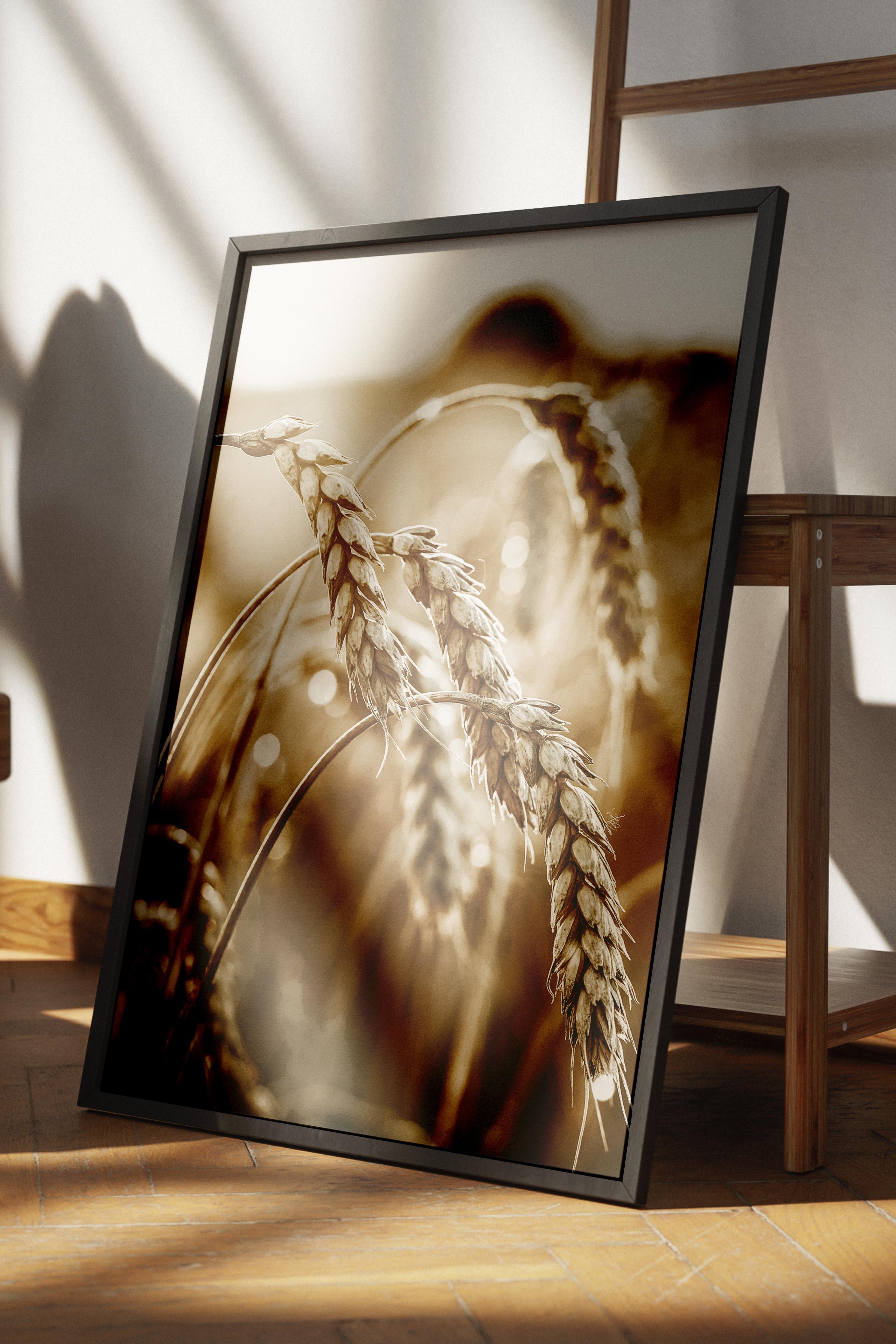 Rustic Çerçevesiz Poster, İskandinav Sarı Poster, NO:404 Buğday Tarlası Fotoğraf
