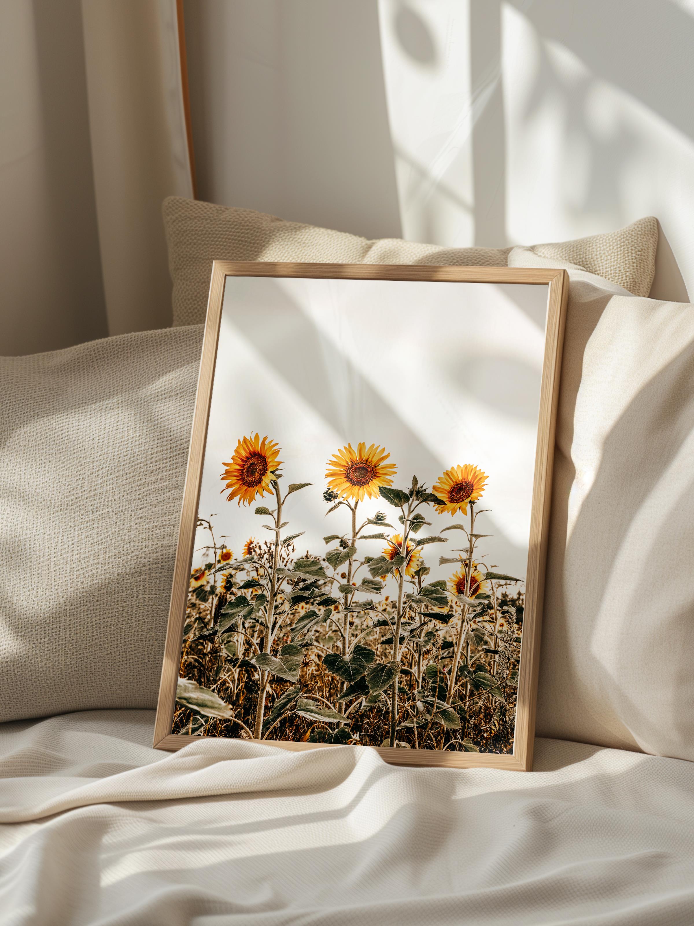 Rustic Çerçevesiz Poster, İskandinav Sarı Poster, NO:429 Ayçiçeği Fotoğraf