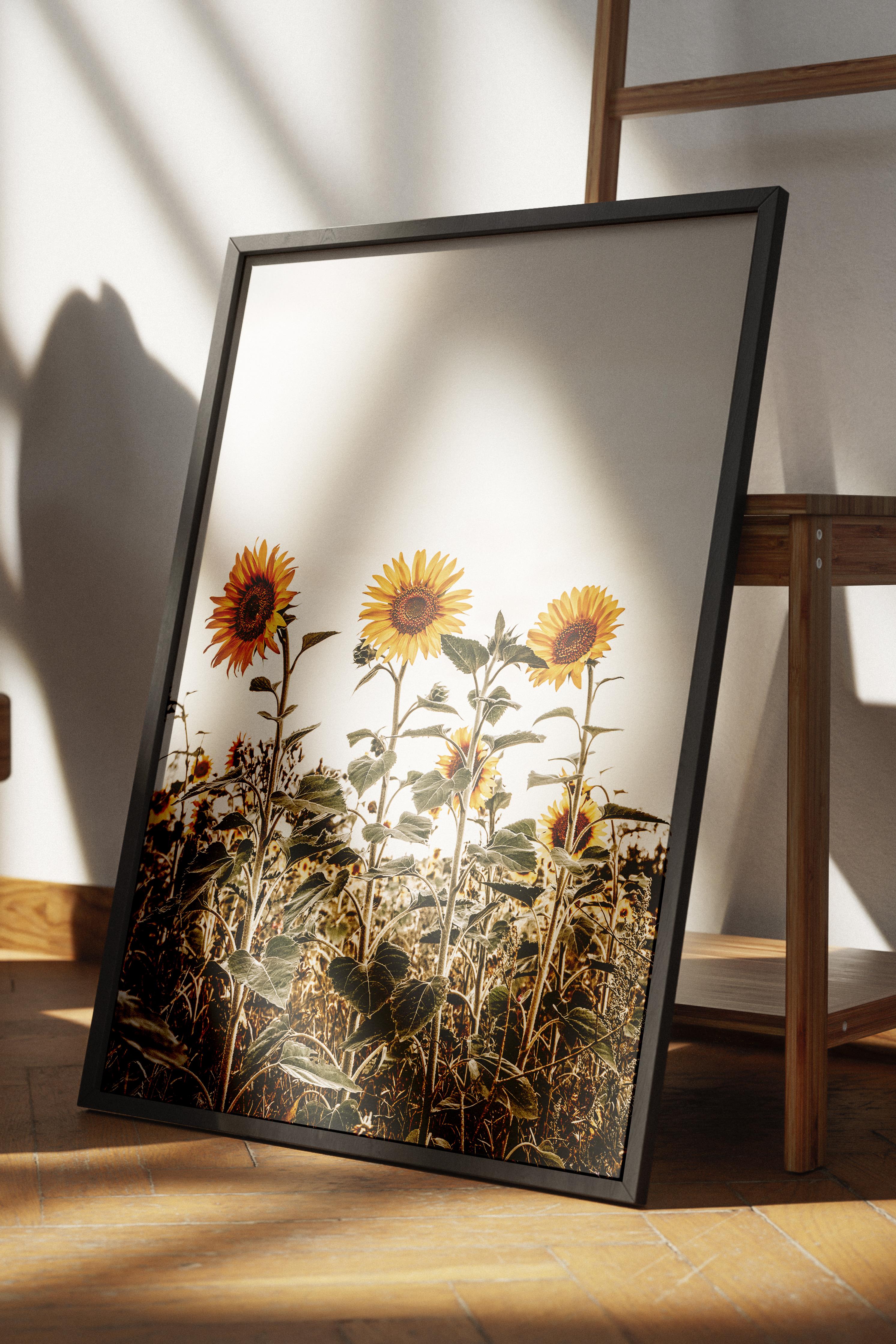 Rustic Çerçevesiz Poster, İskandinav Sarı Poster, NO:429 Ayçiçeği Fotoğraf