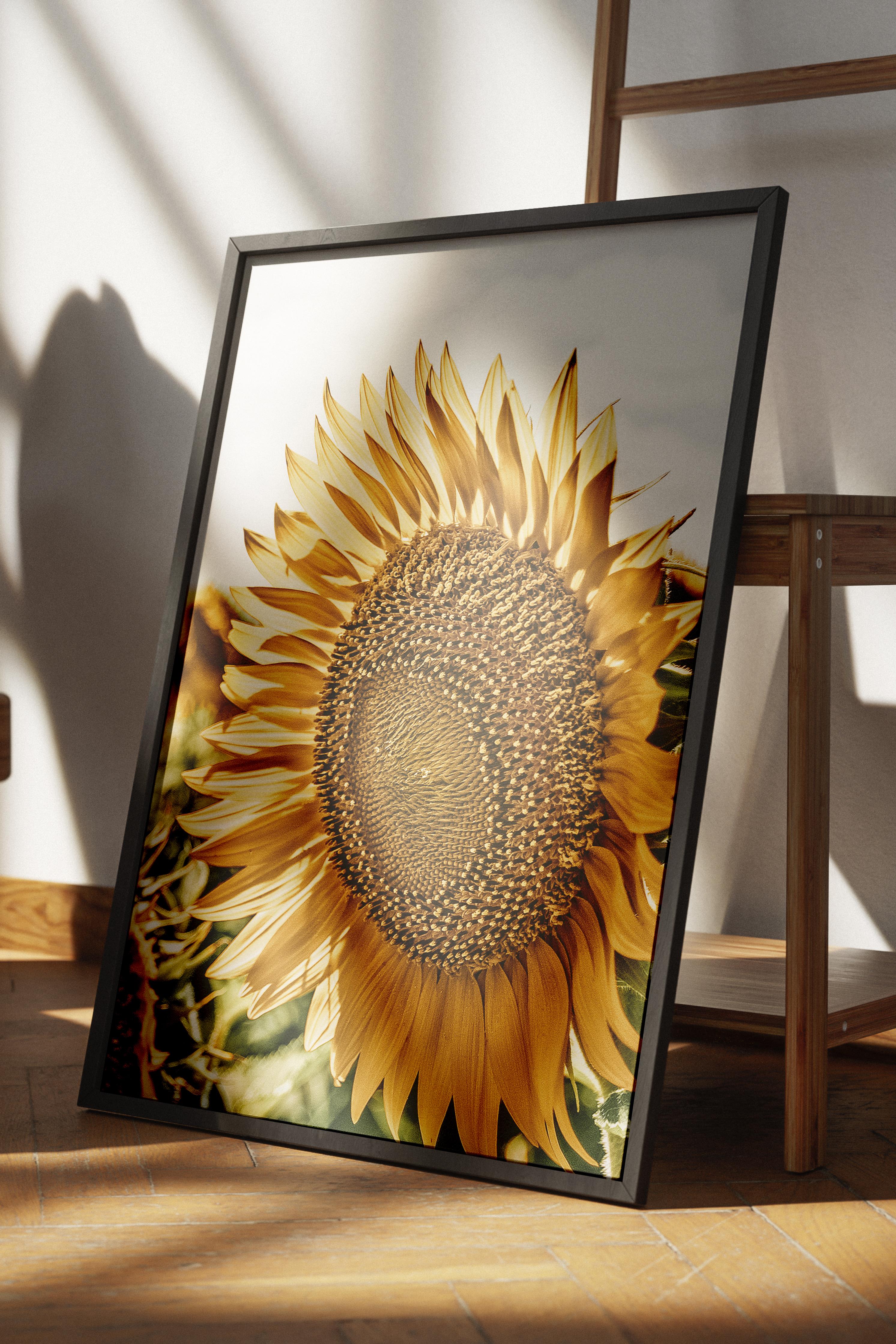 Rustic Çerçevesiz Poster, İskandinav Sarı Poster, NO:451 Ayçiçeği Fotoğraf