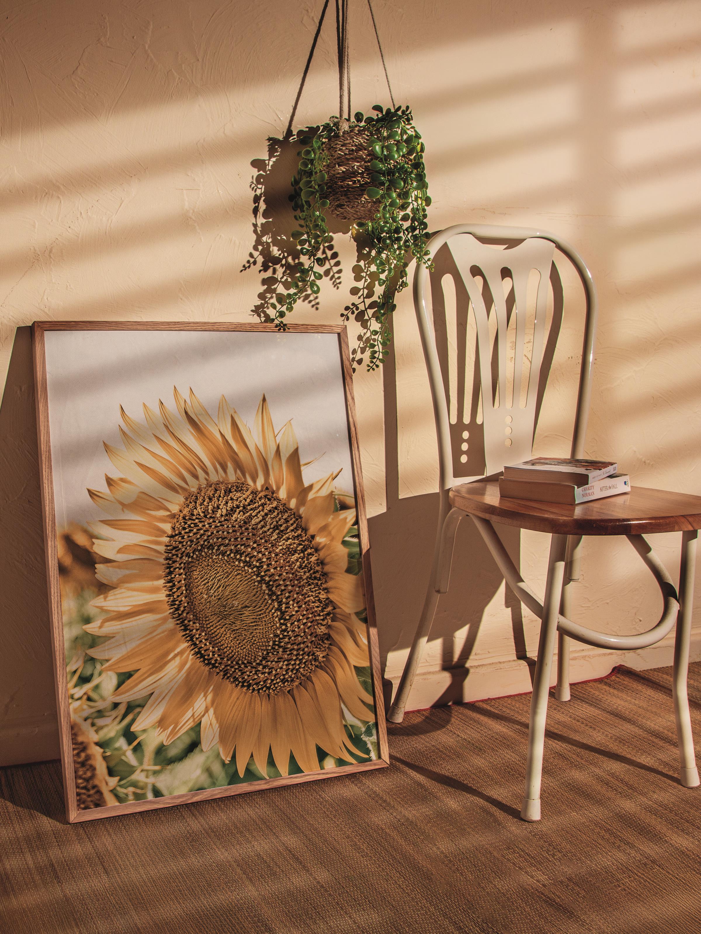 Rustic Çerçevesiz Poster, İskandinav Sarı Poster, NO:451 Ayçiçeği Fotoğraf