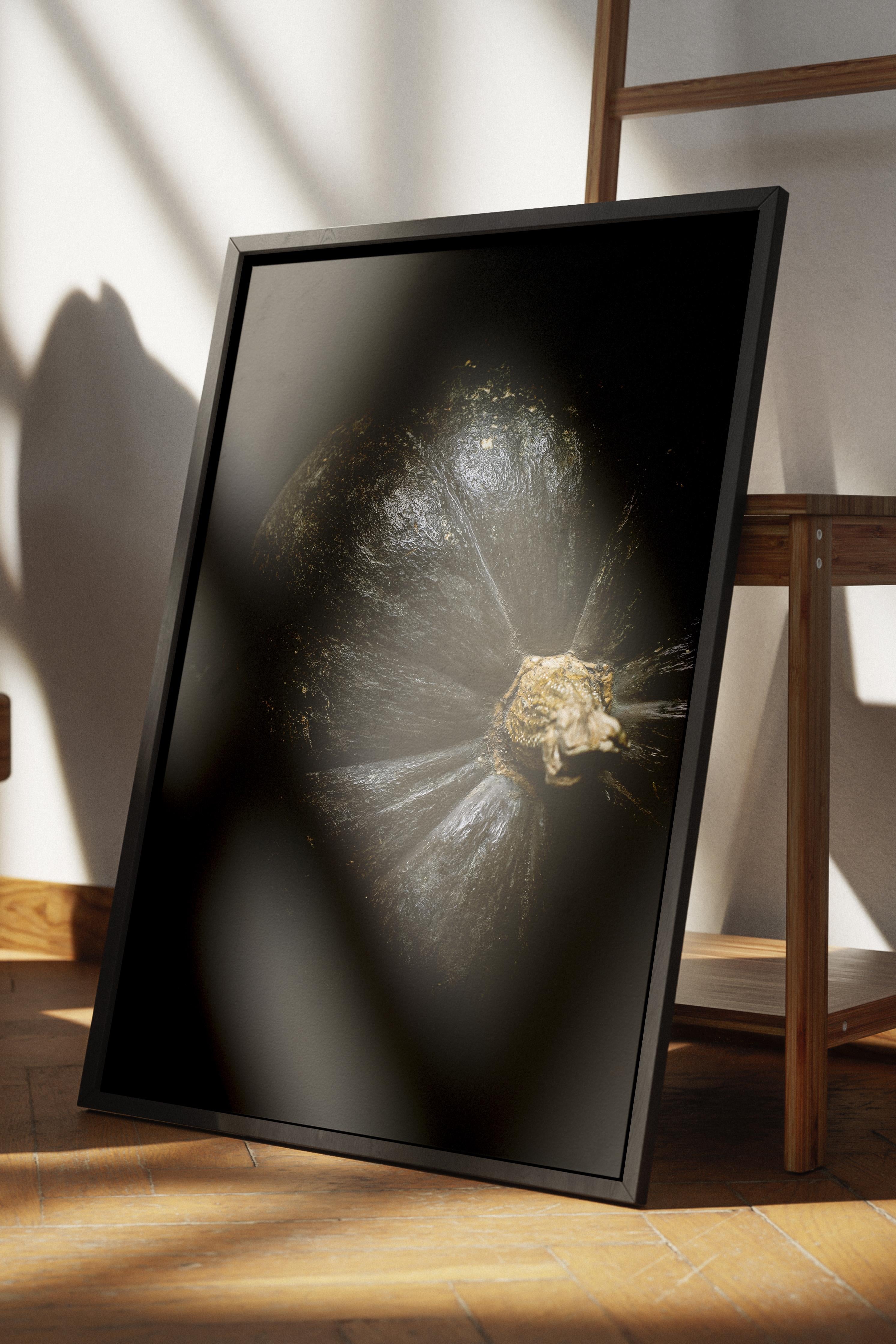 Rustic Çerçevesiz Poster, İskandinav Siyah Poster, NO:480 Kabak Fotoğraf