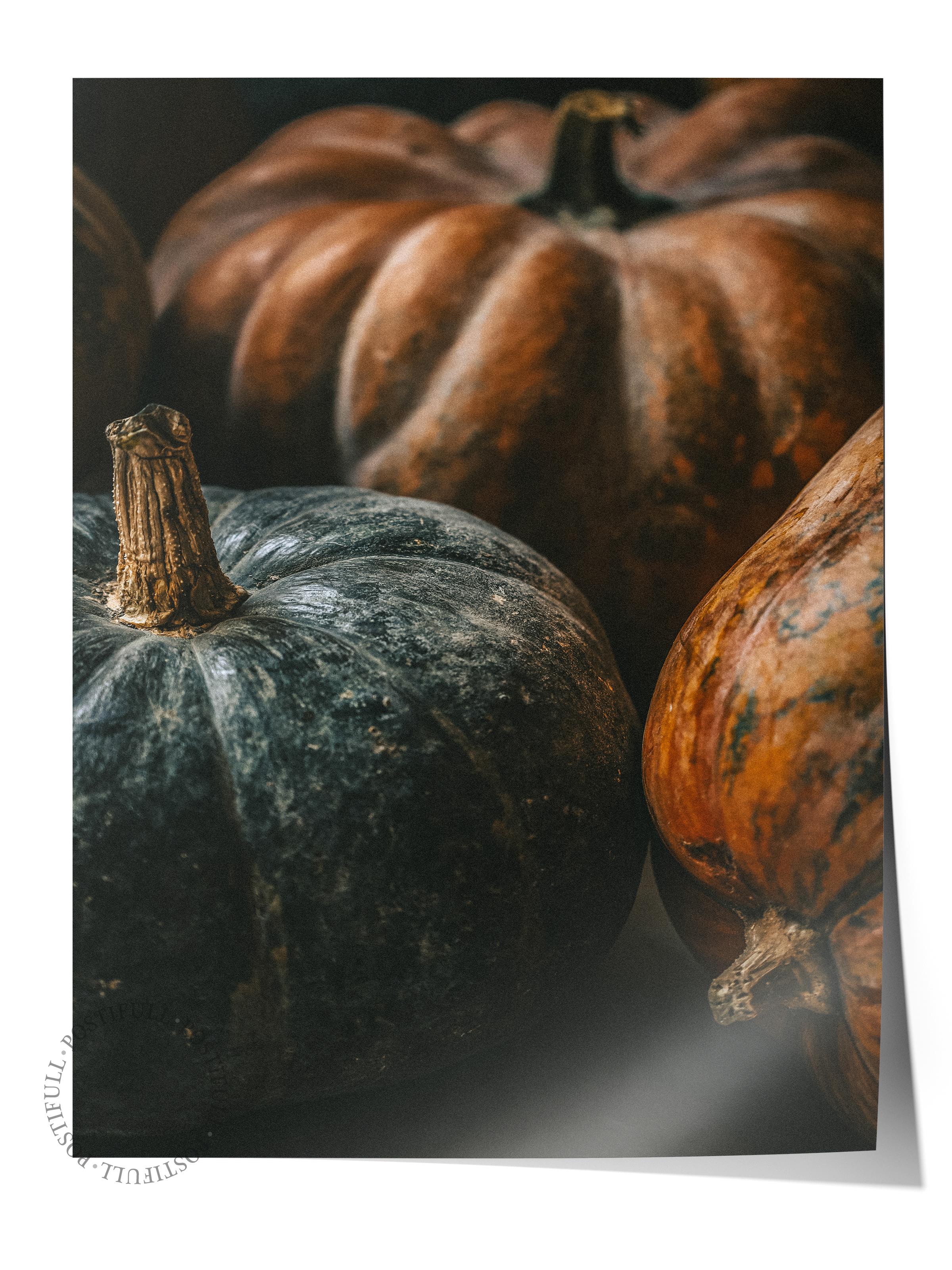Rustic Çerçevesiz Poster, İskandinav Turuncu Poster, NO:462 Balkabakları Fotoğraf