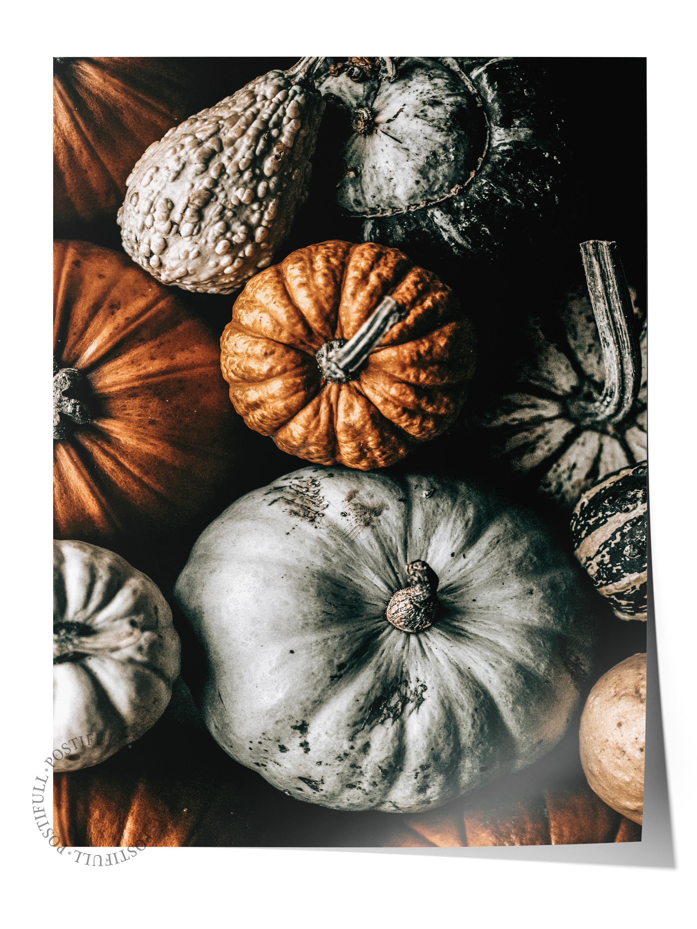 Rustic Çerçevesiz Poster, İskandinav Turuncu Poster, NO:470 Balkabakları Fotoğraf